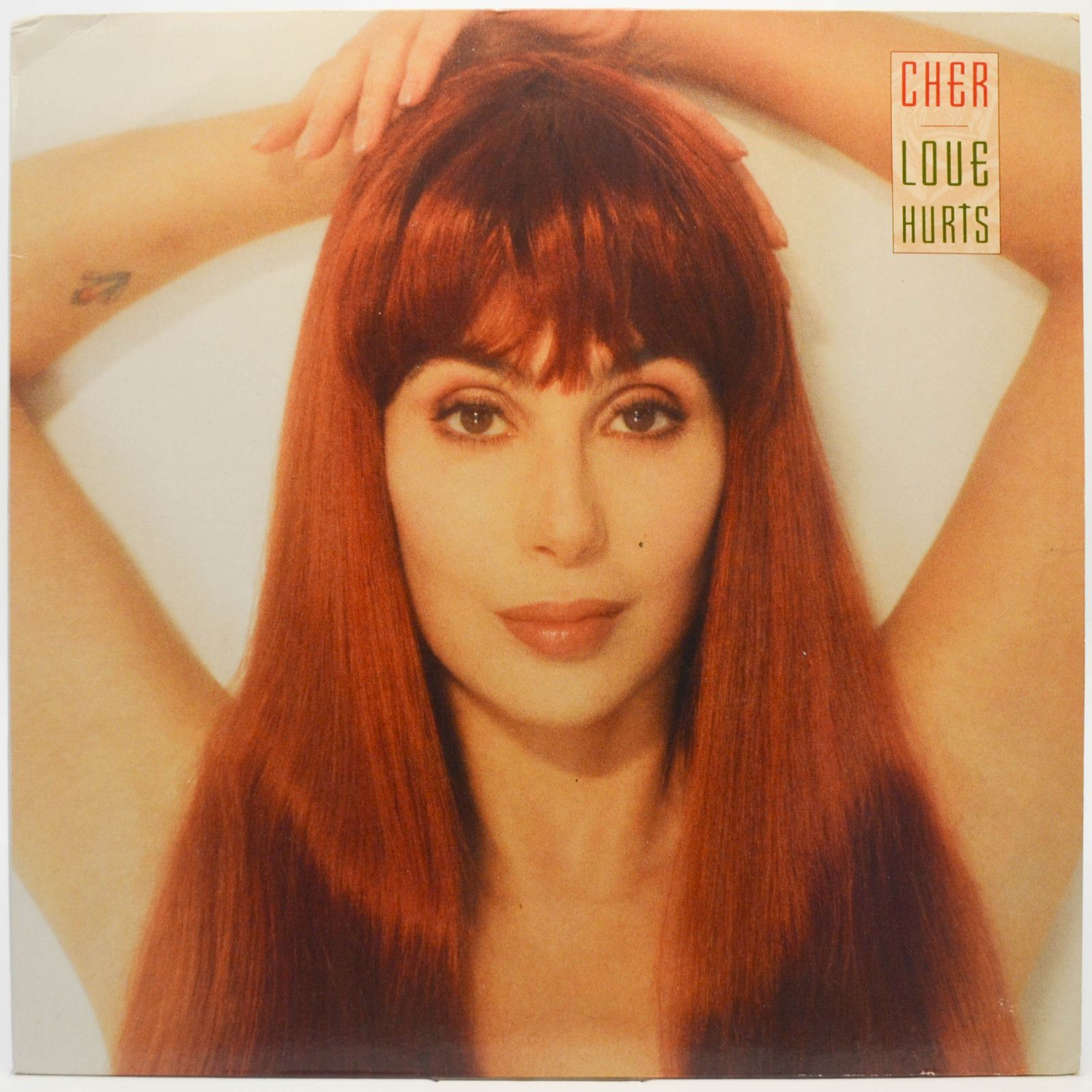Cher — Love Hurts, 1991