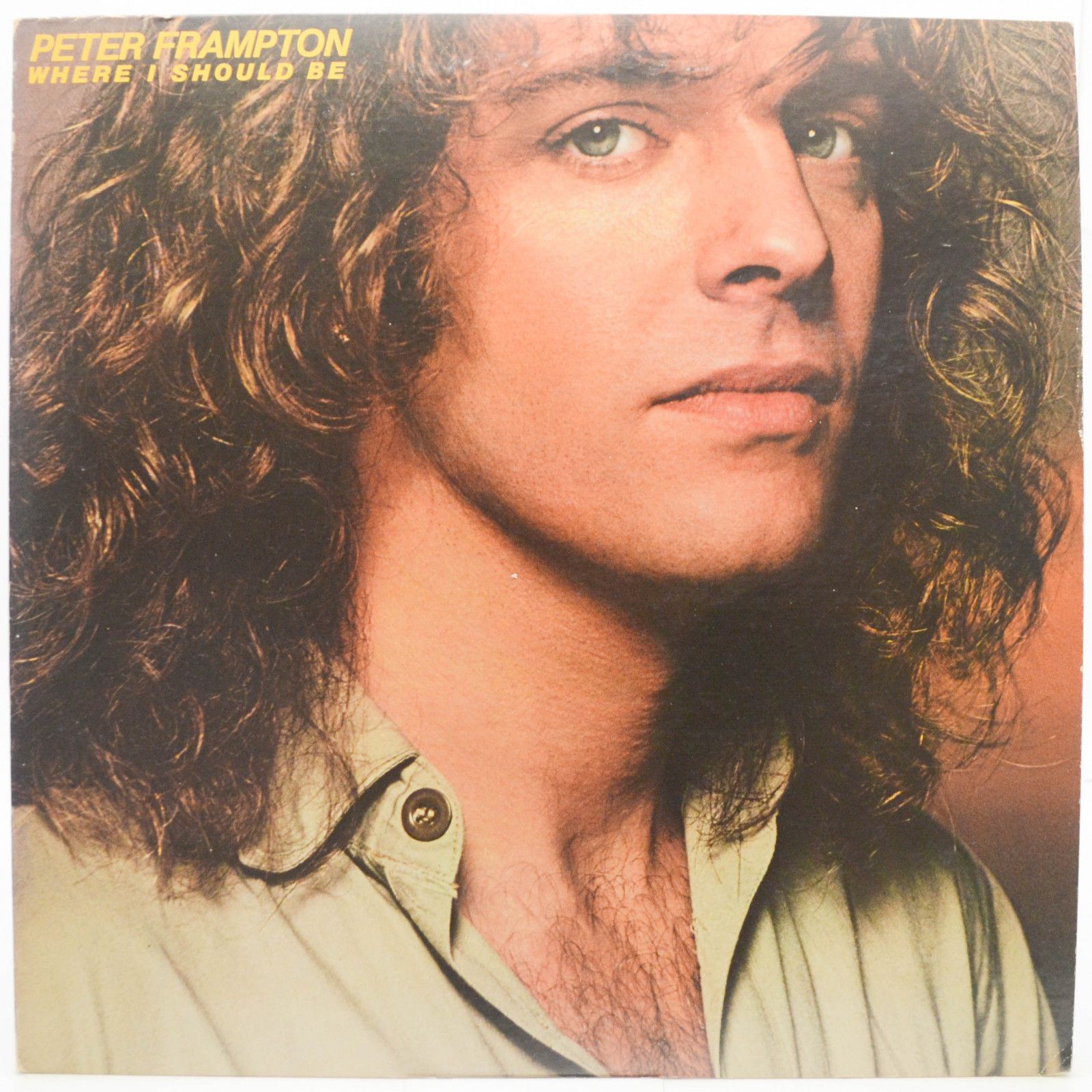 Виниловая пластинка Peter Frampton — Where I Should Be, 1979