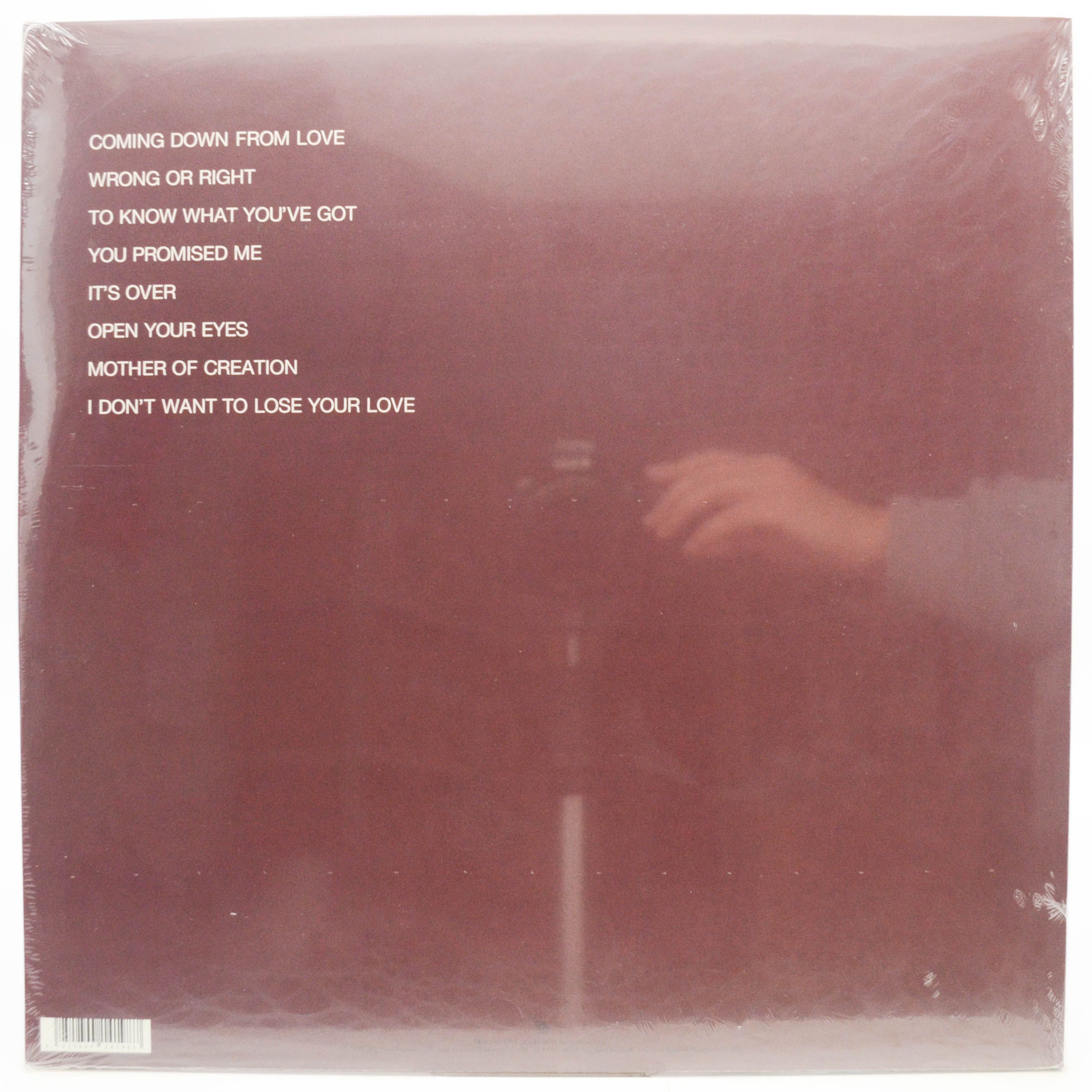 Виниловая пластинка Bobby Caldwell — Cat In The Hat (UK), 1980