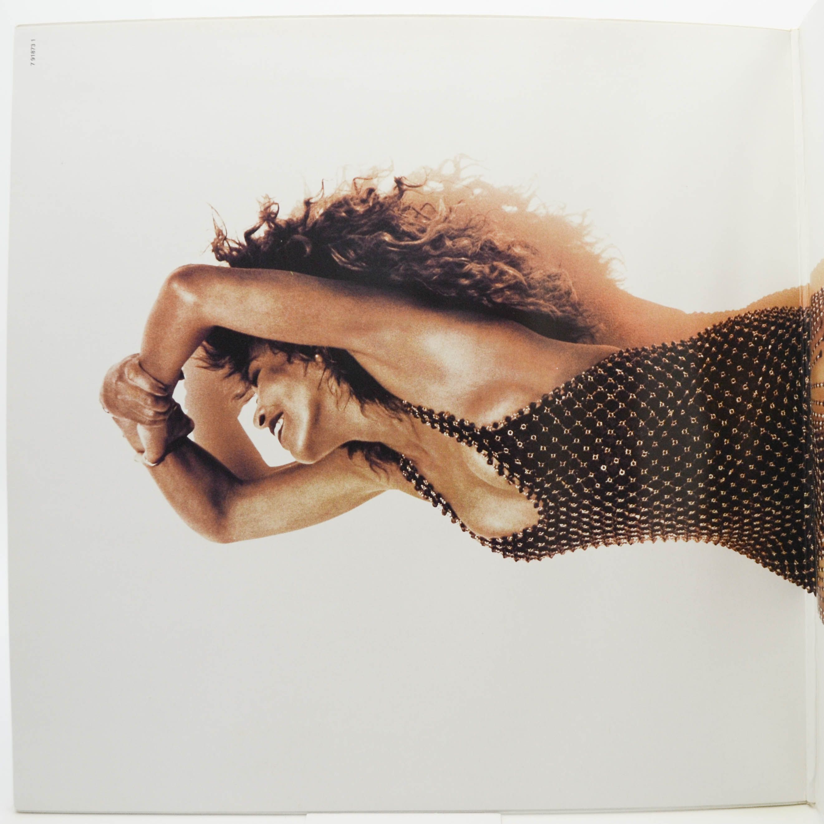 Tina Turner — Foreign Affair, 1989