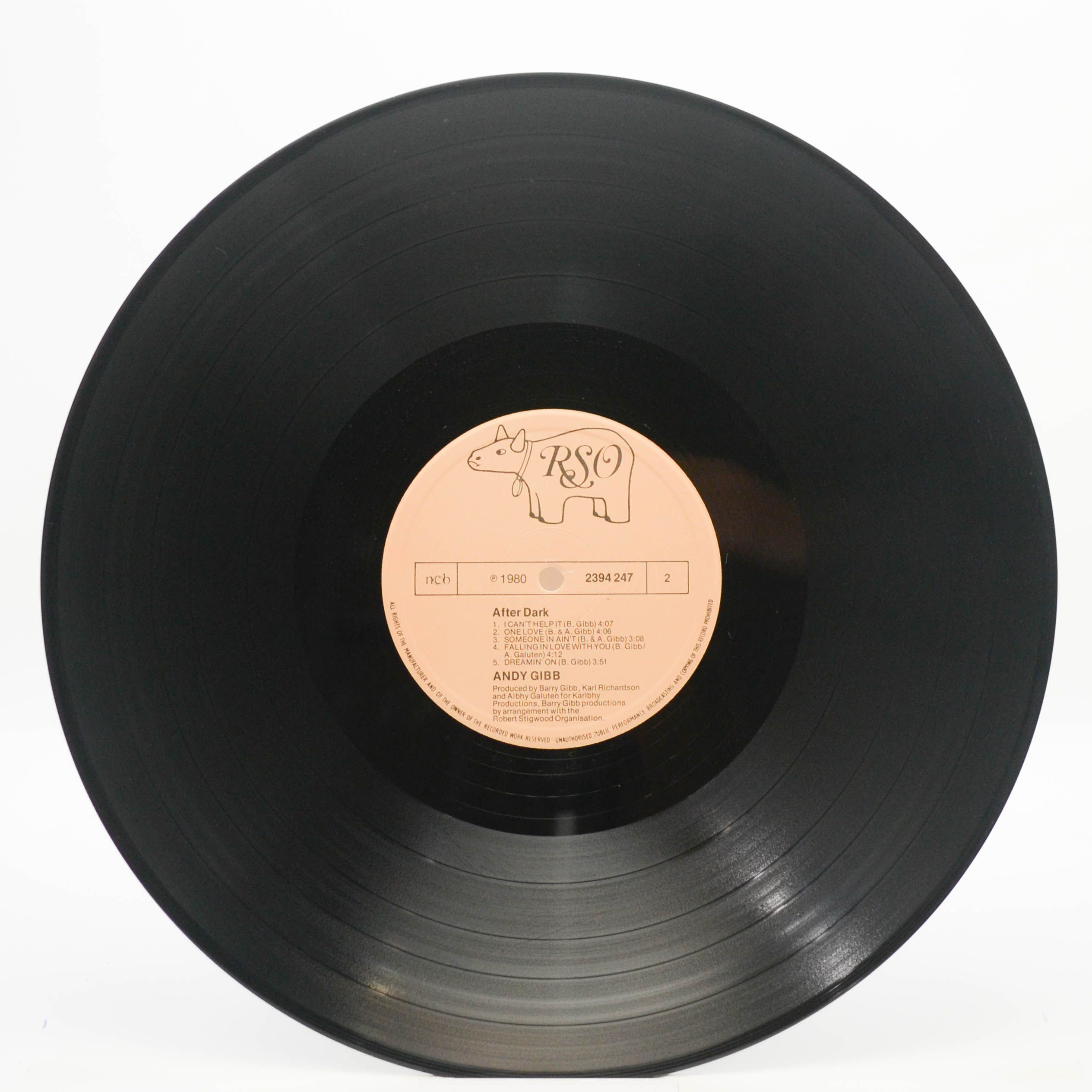 Andy Gibb — After Dark, 1980