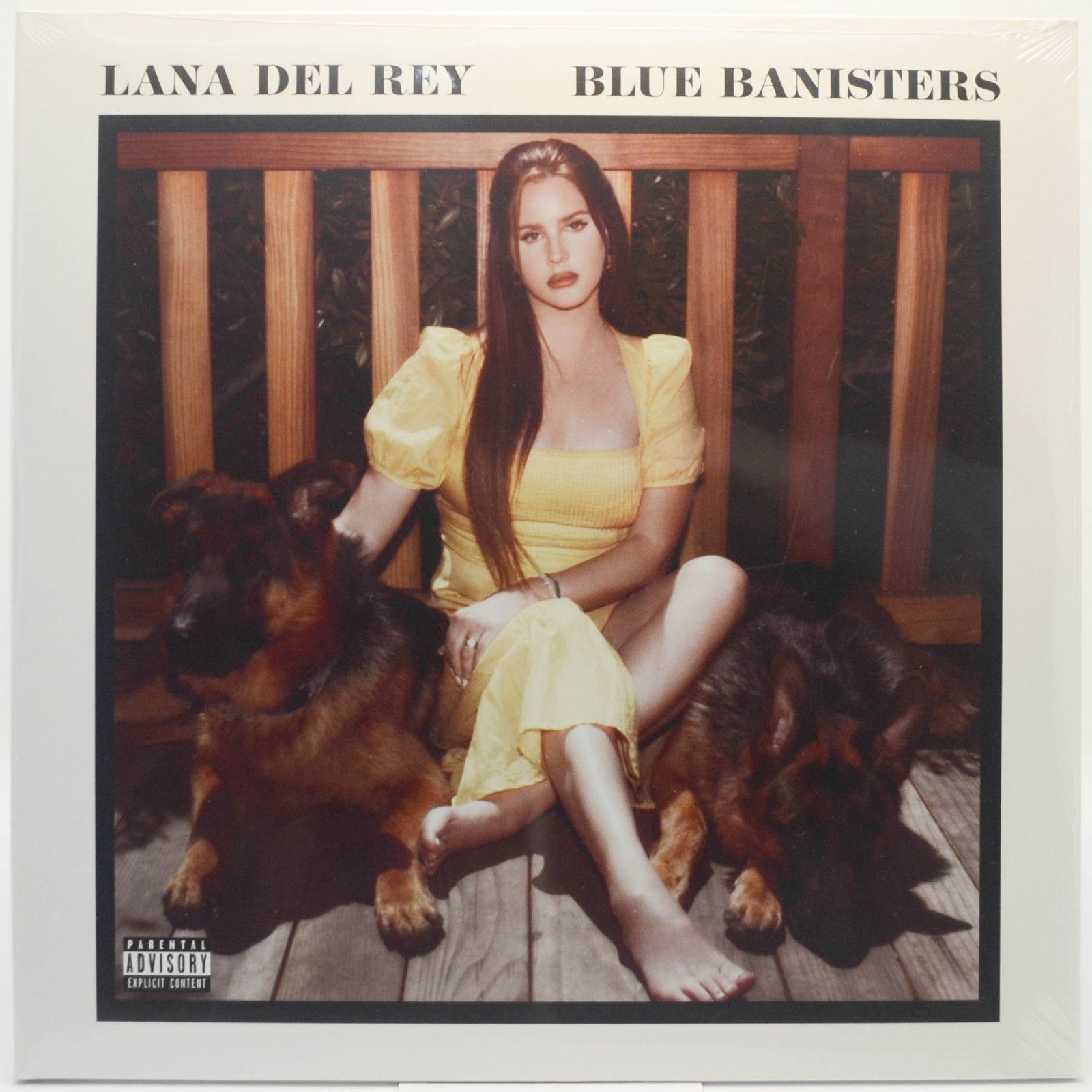 Lana Del Rey — Blue Banisters (2LP), 2021