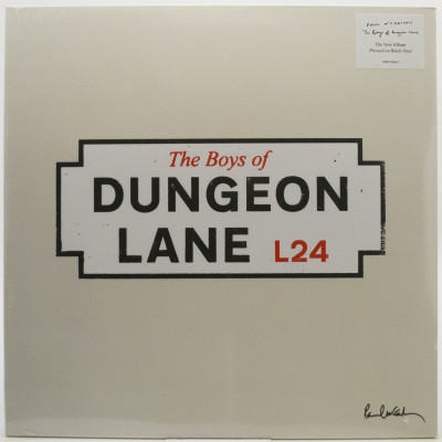 Виниловая пластинка The Boys Of Dungeon Lane, 2026