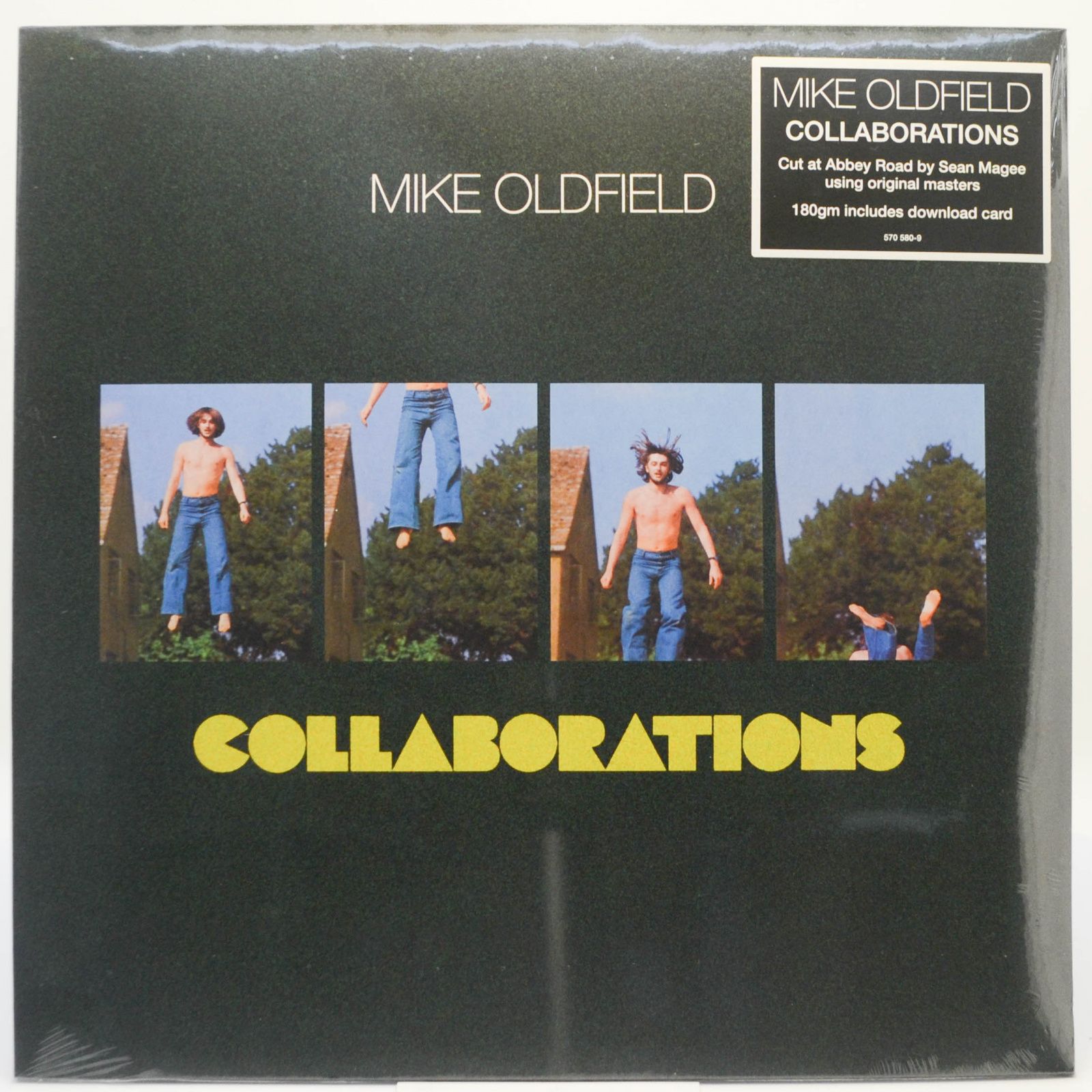 Mike Oldfield — Collaborations, 2016