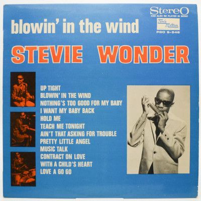 Stevie Wonder