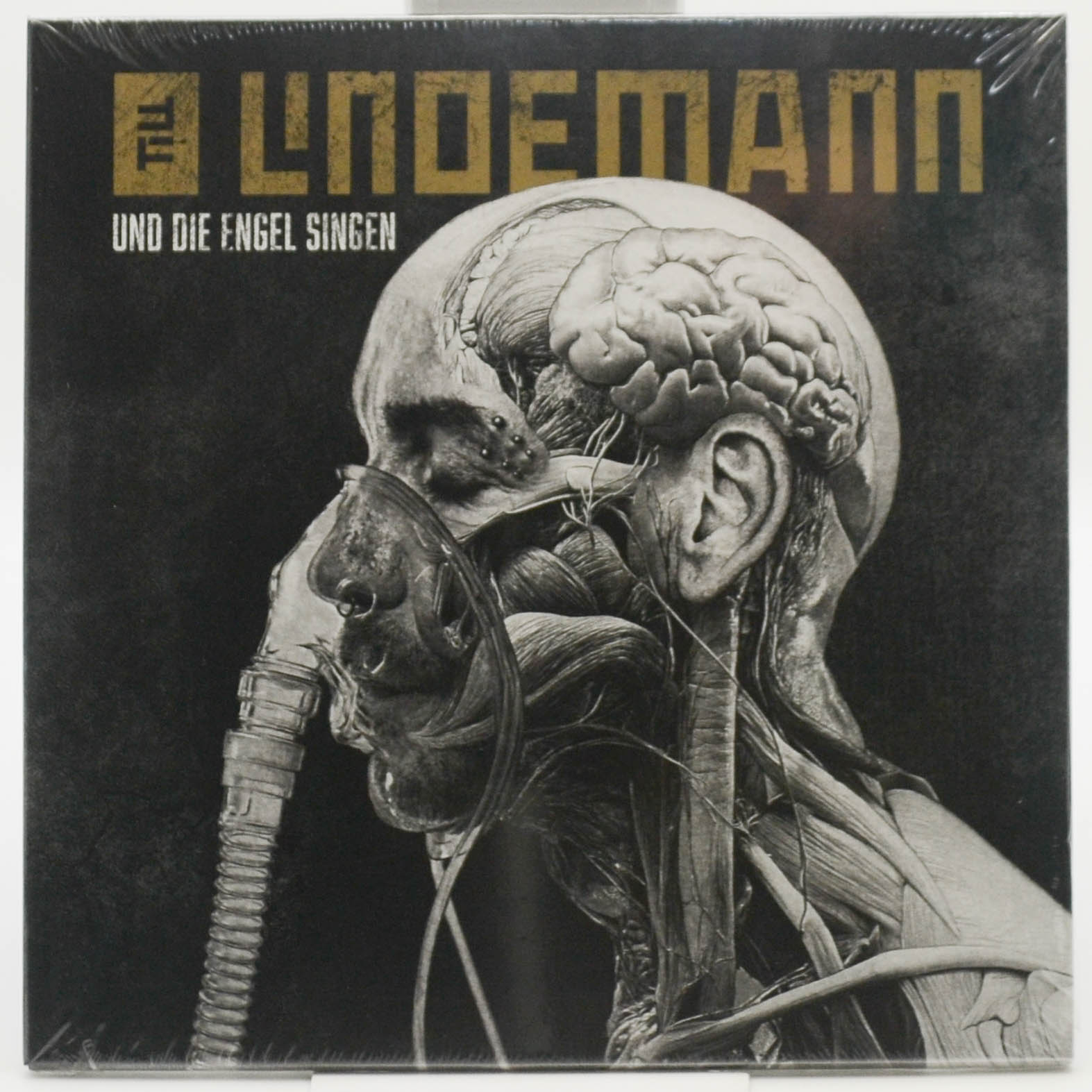 Till Lindemann — Und Die Engel Singen (7"), 2025