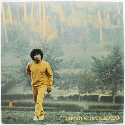 Cervo A Primavera (1-st, Italy), 1980