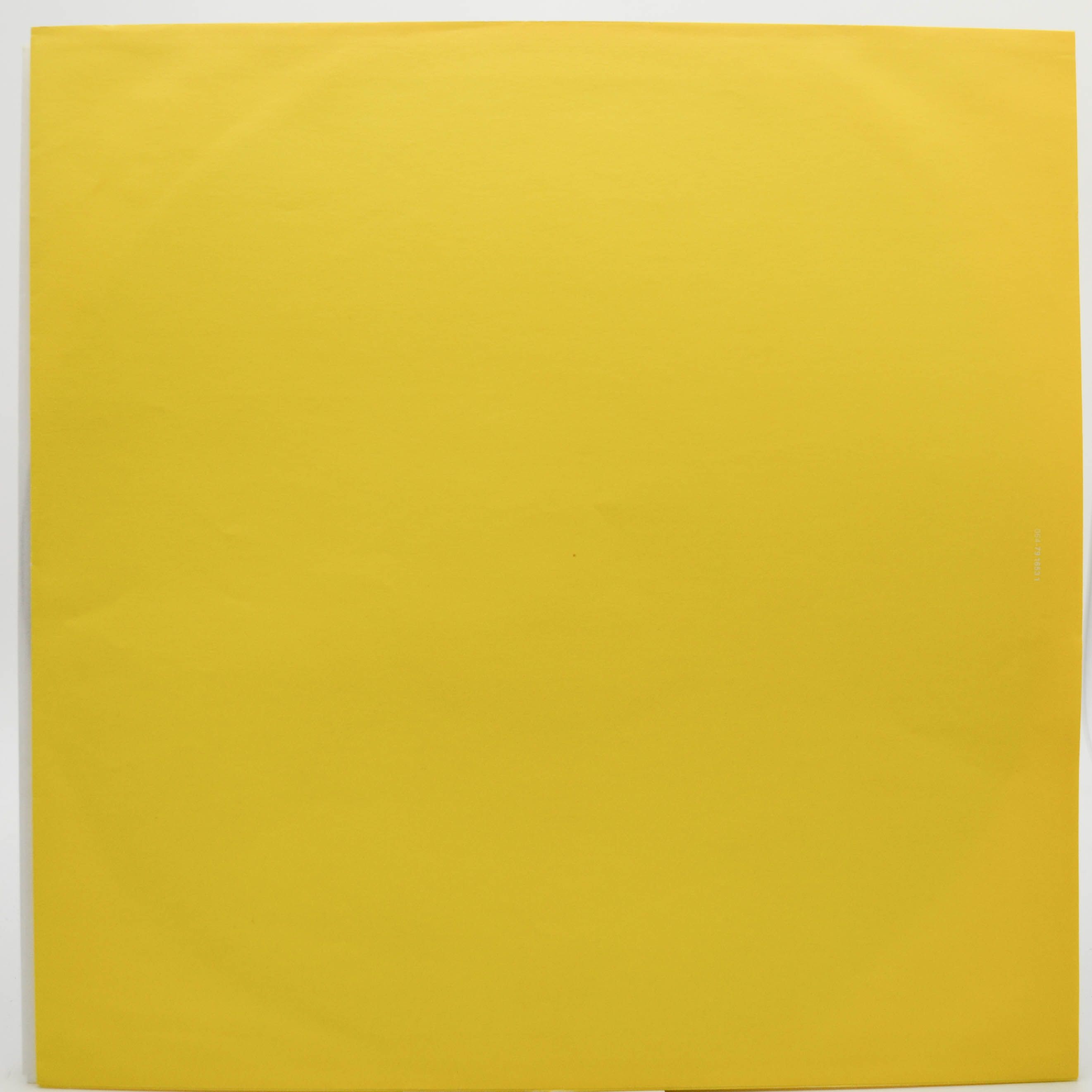 Paul McCartney — Flowers In The Dirt, 1989