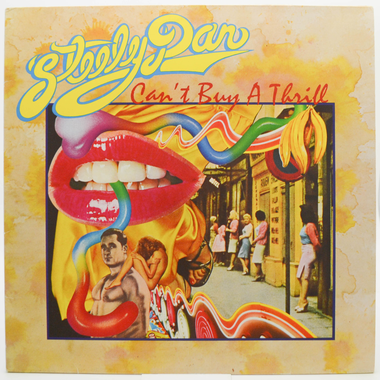 Виниловая пластинка Steely Dan — Can't Buy A Thrill, 1979