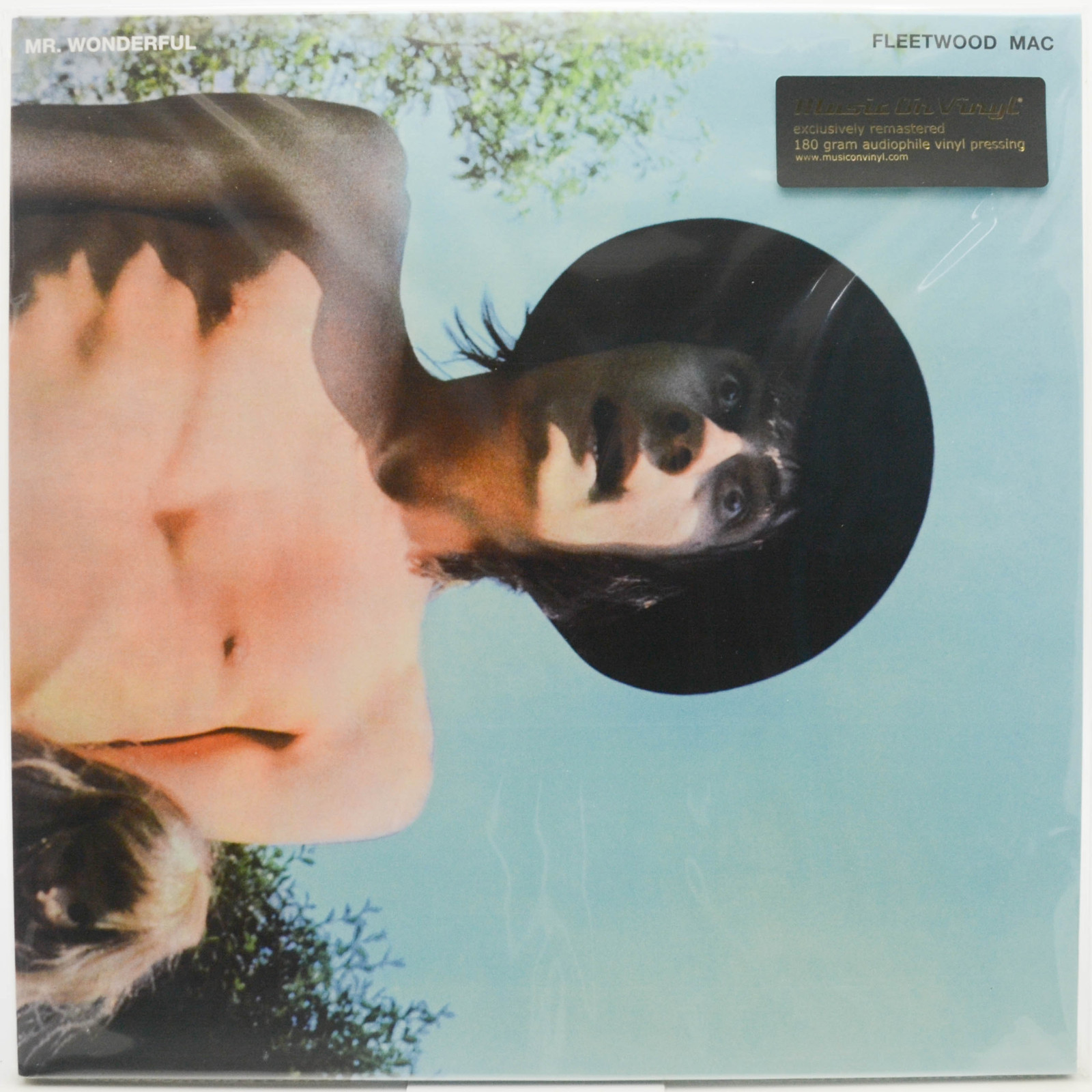 Fleetwood Mac — Mr. Wonderful, 1968