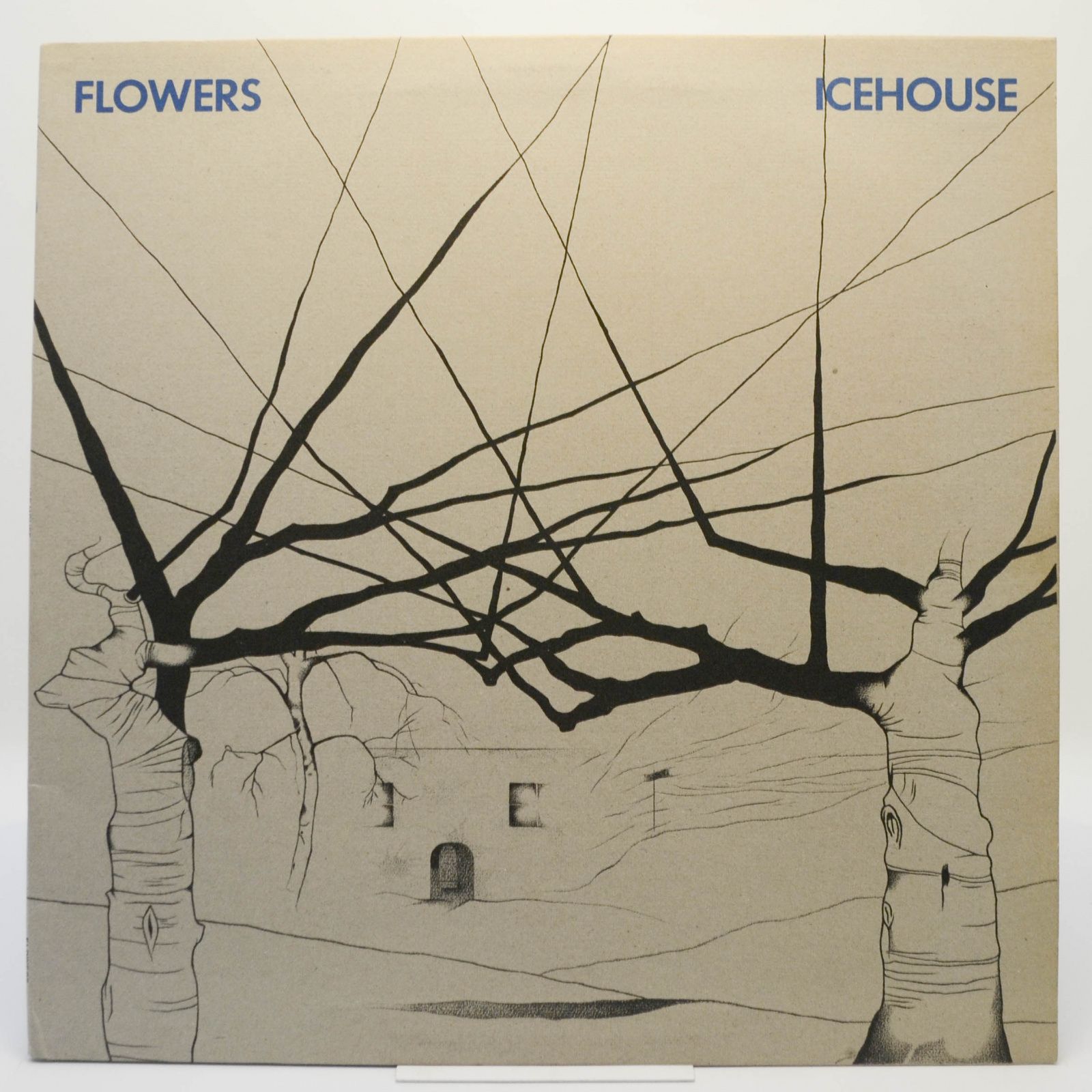 Icehouse, 1980
