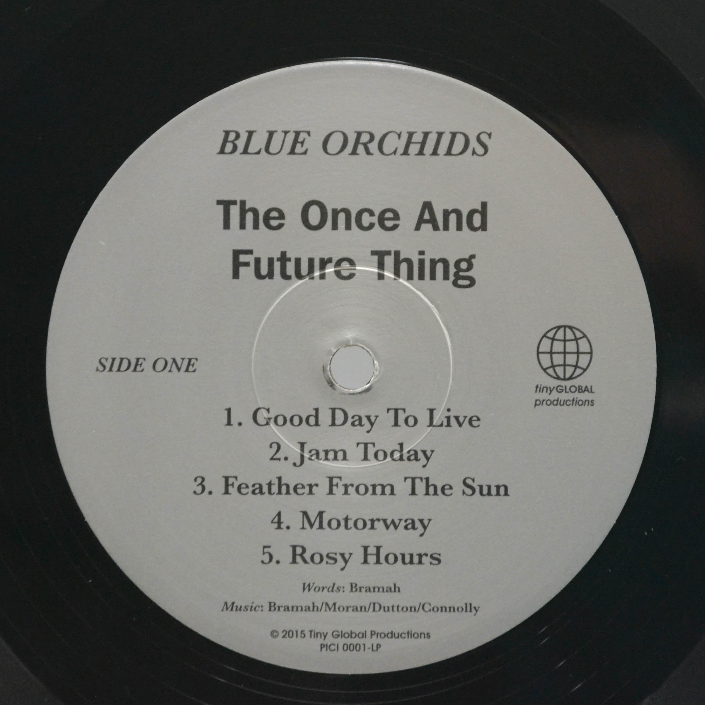 Виниловая пластинка Blue Orchids — The Once And Future Thing (UK), 2015