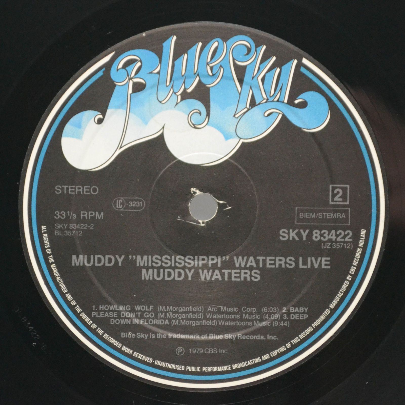 Muddy Waters — Muddy "Mississippi" Waters Live, 1979