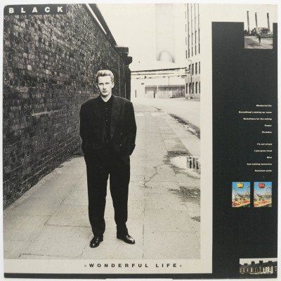 Wonderful Life, 1987