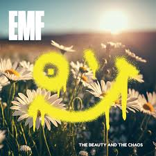 The Beauty And The Chaos
