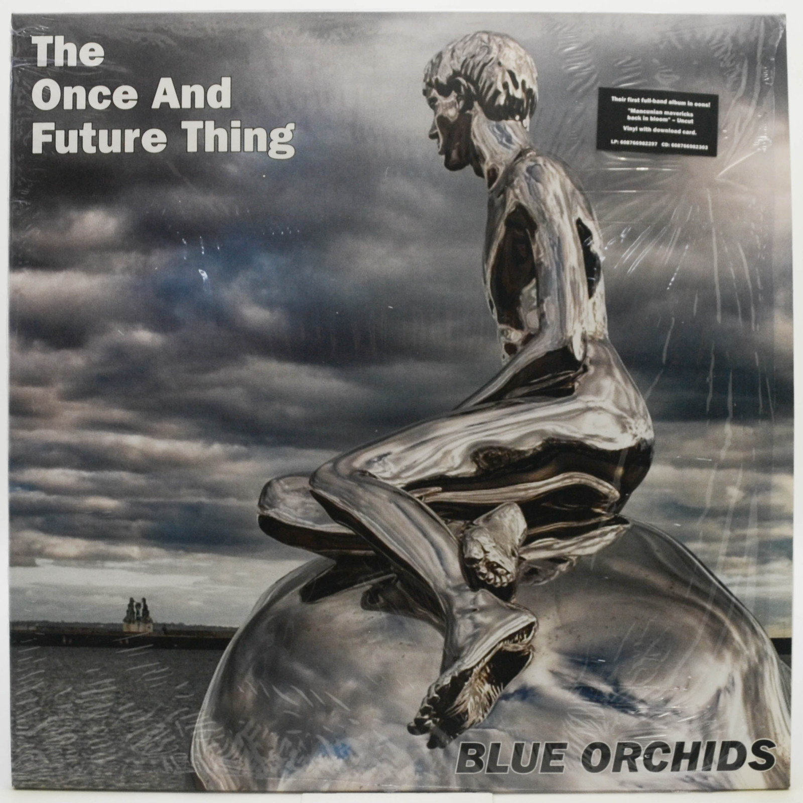 Виниловая пластинка Blue Orchids — The Once And Future Thing (UK), 2015