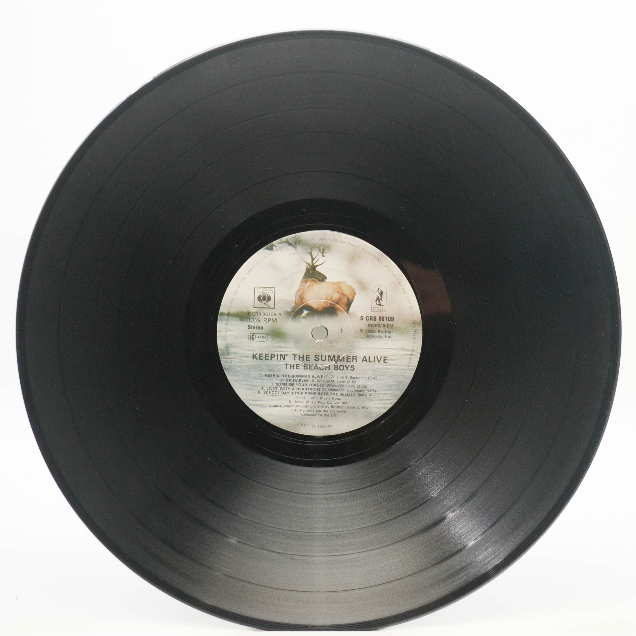 Beach Boys — Keepin' The Summer Alive, 1980