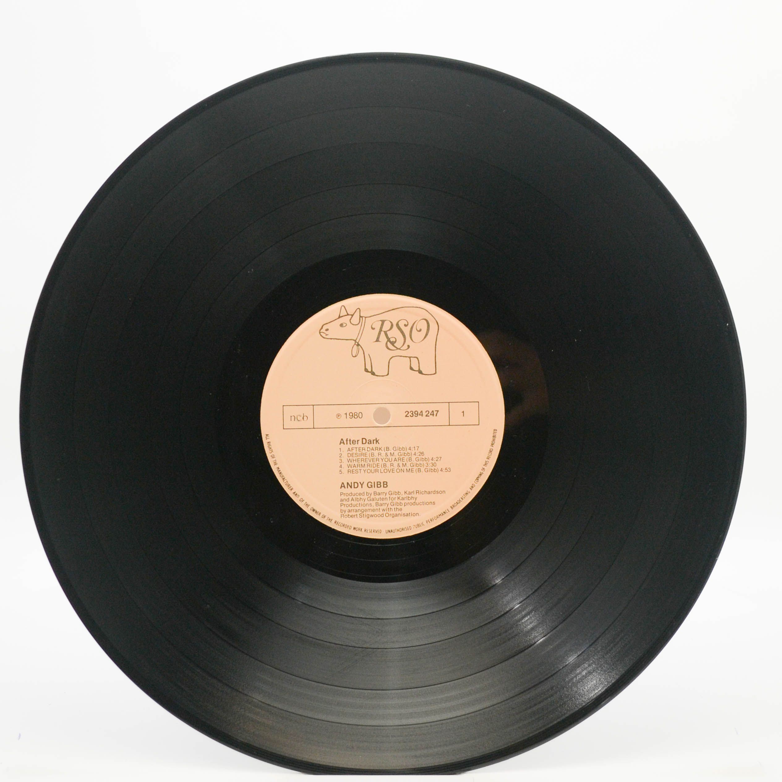 Andy Gibb — After Dark, 1980