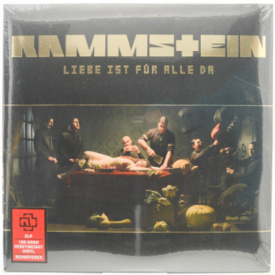 Liebe Ist Für Alle Da (2LP), 2009