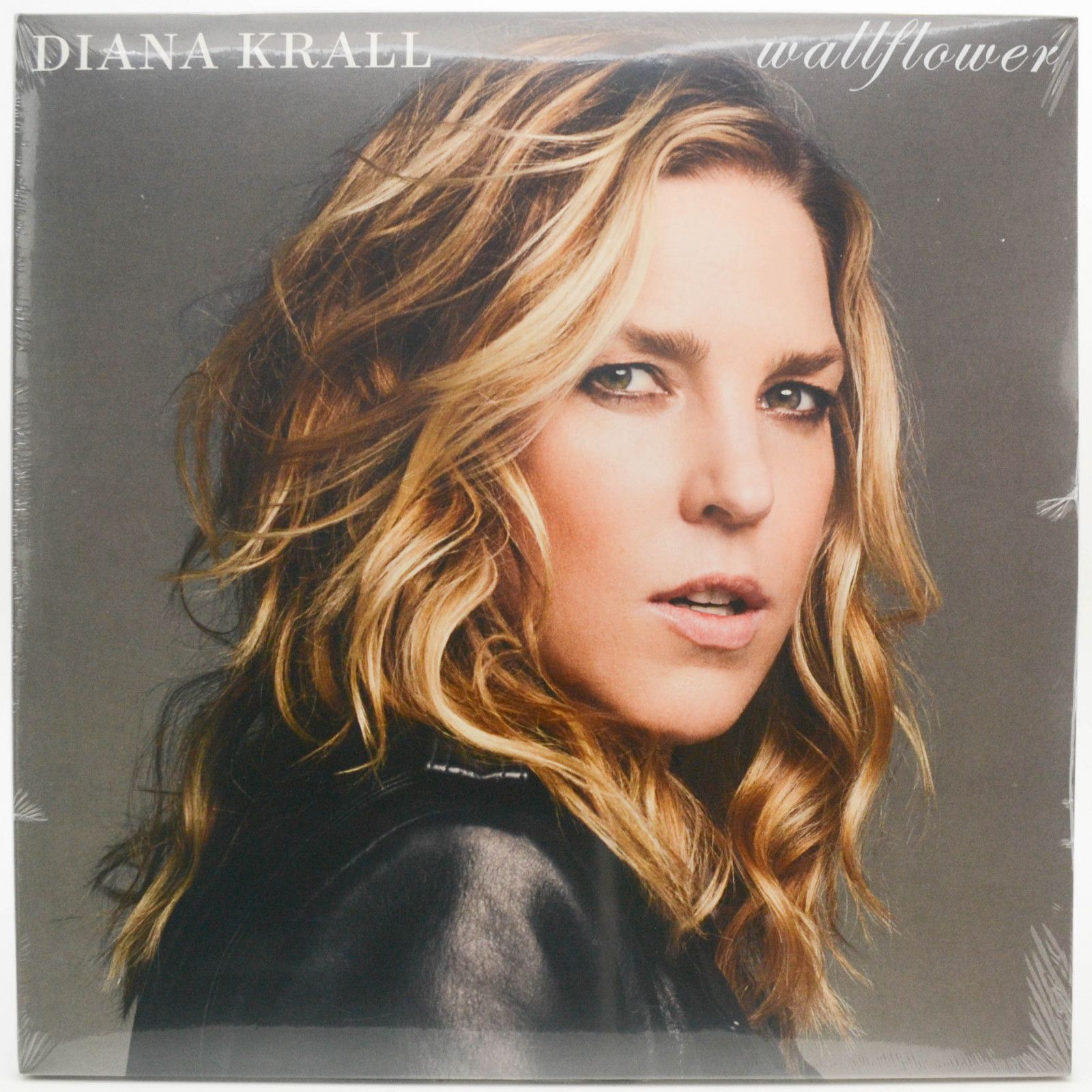 diana krall family - Ilustrasi 3