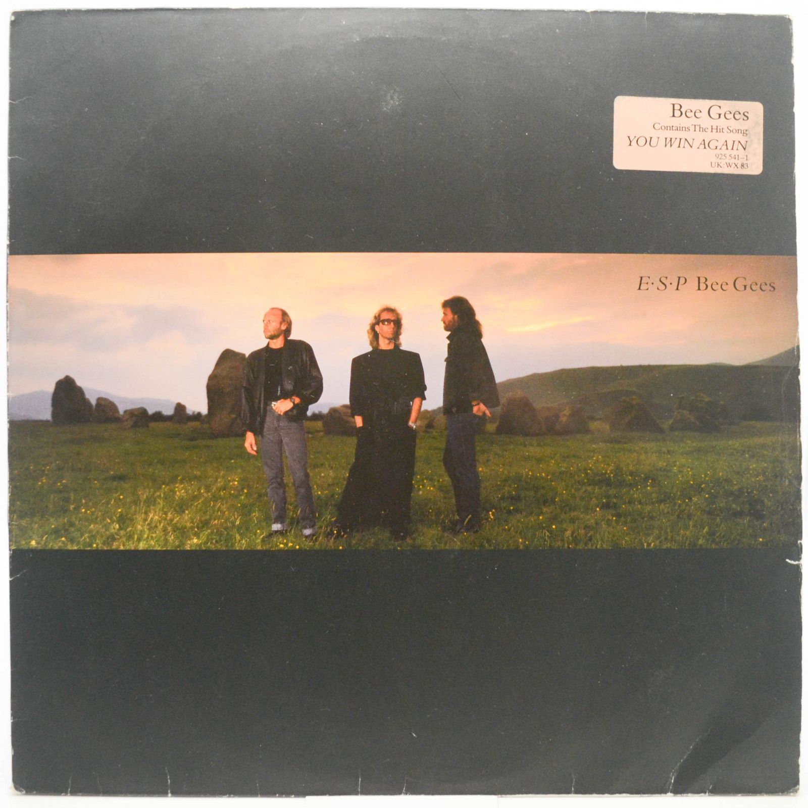 Bee Gees — E∙S∙P, 1987