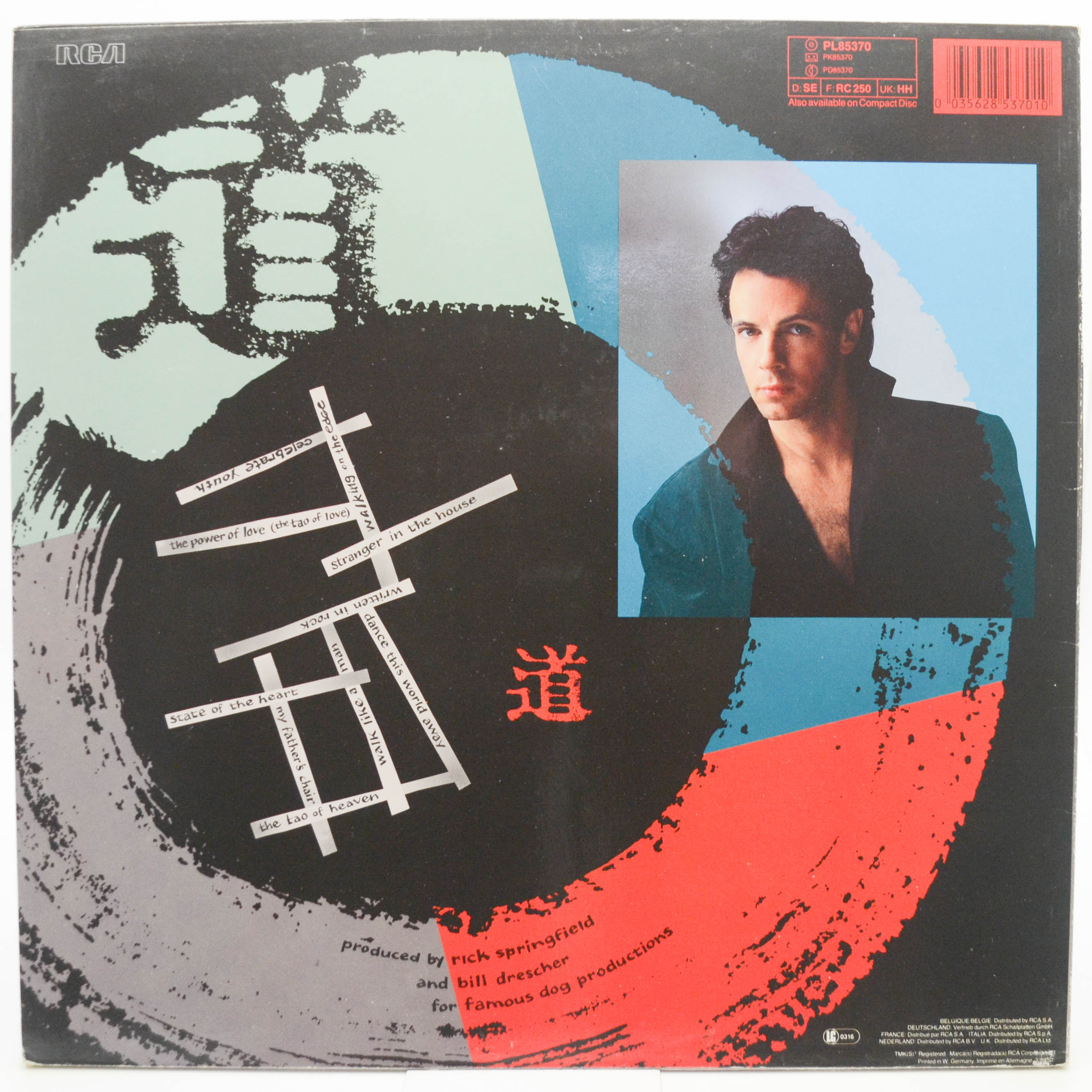 Rick Springfield — Tao, 1985