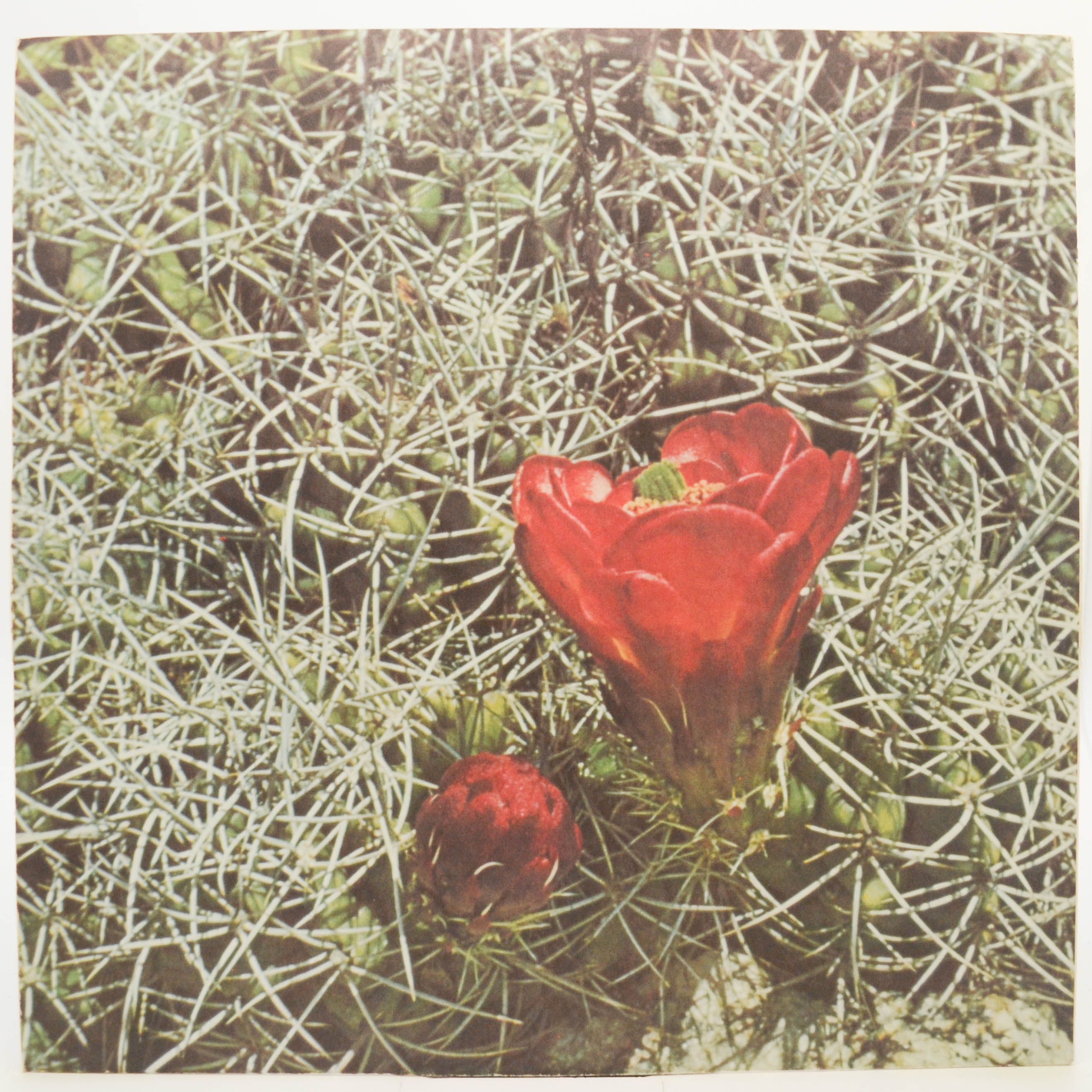 Eagles — Eagles, 1972