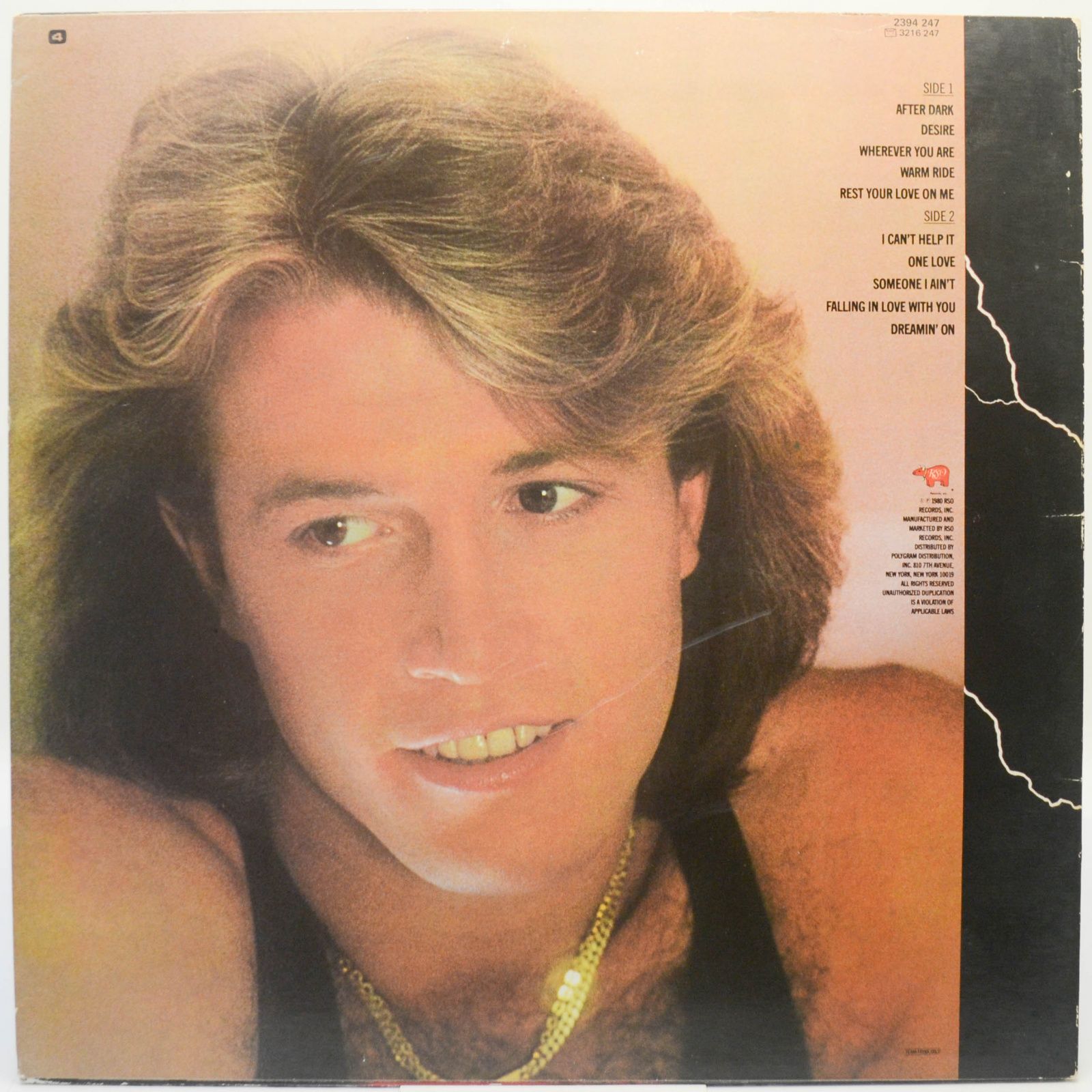 Andy Gibb — After Dark, 1980