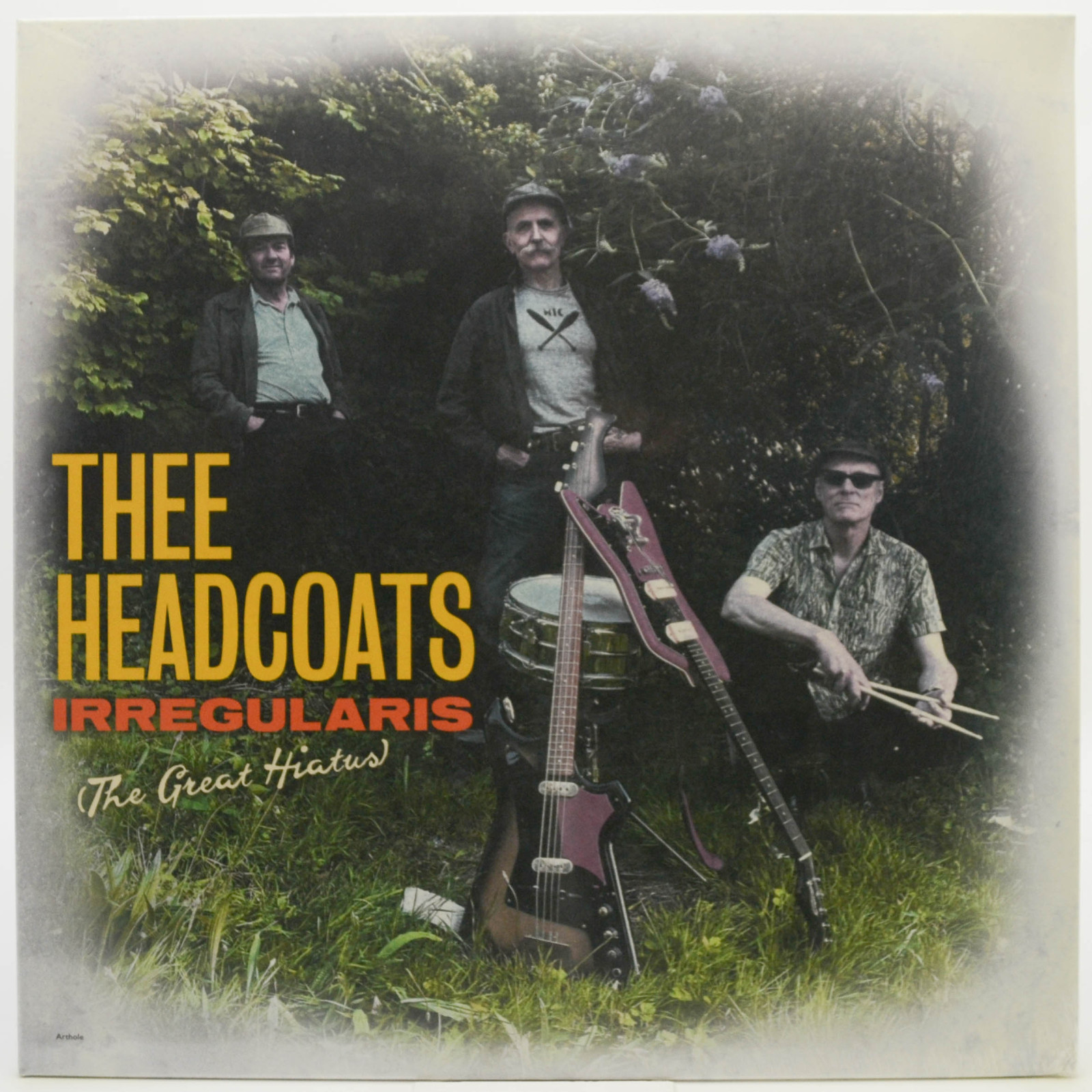 Виниловая пластинка Thee Headcoats — Irregularis (The Great Hiatus) (UK), 2023