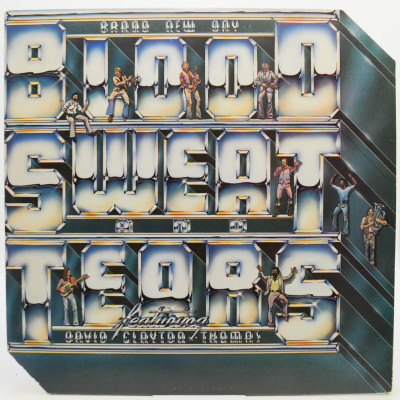 Виниловая пластинка Brand New Day (1-st, USA), 1977