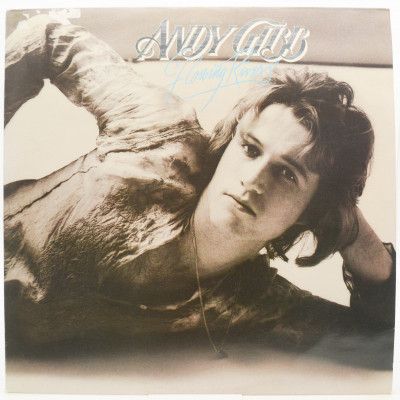 Andy Gibb