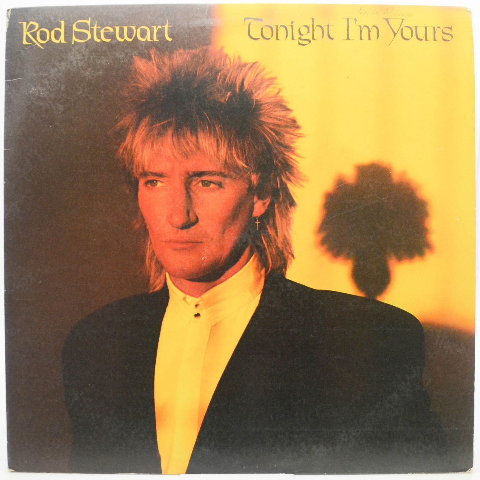 Rod Stewart — Tonight I'm Yours (USA), 1981