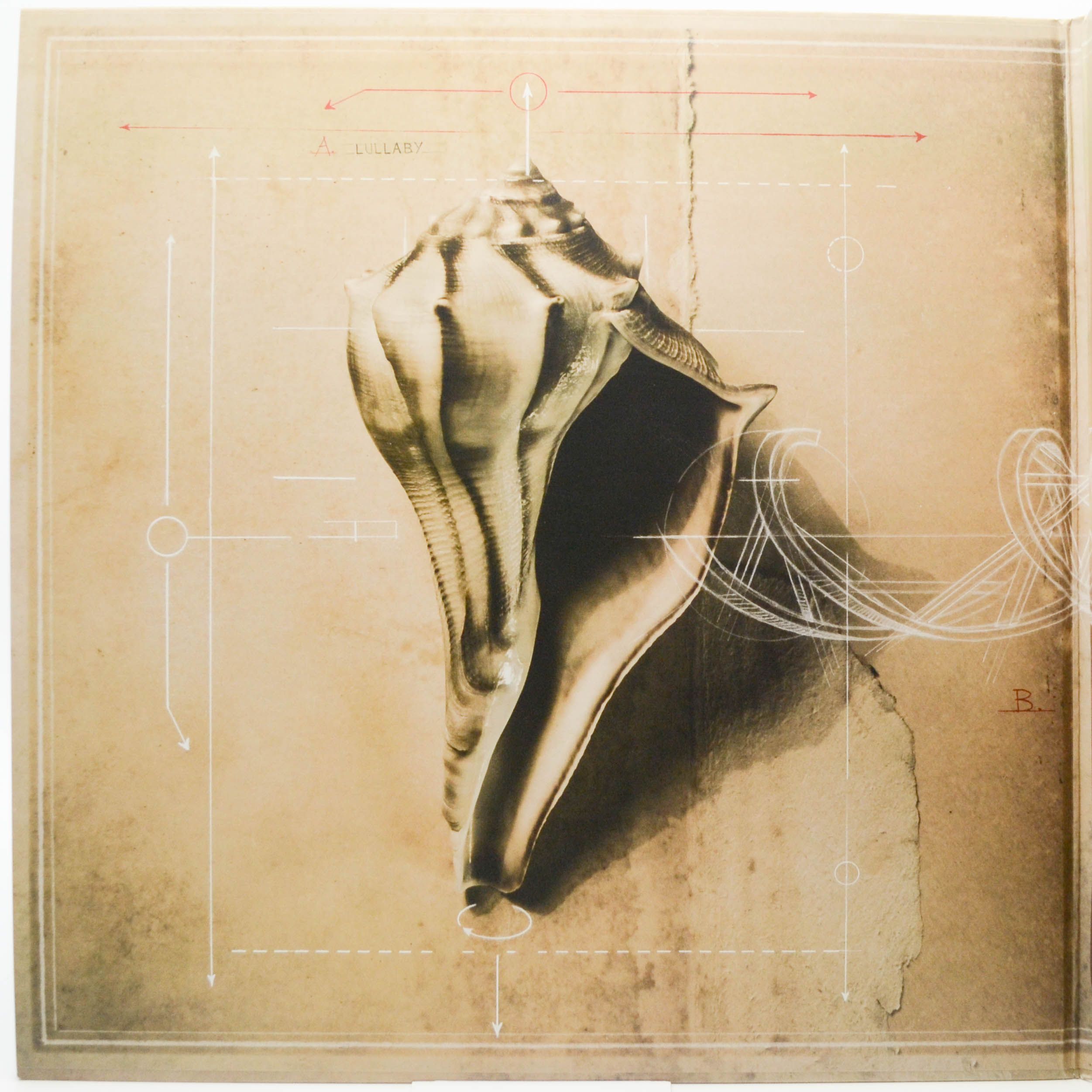 Robert Plant And The Sensational Space Shifters — Lullaby And... The Ceaseless Roar (2LP), 2014