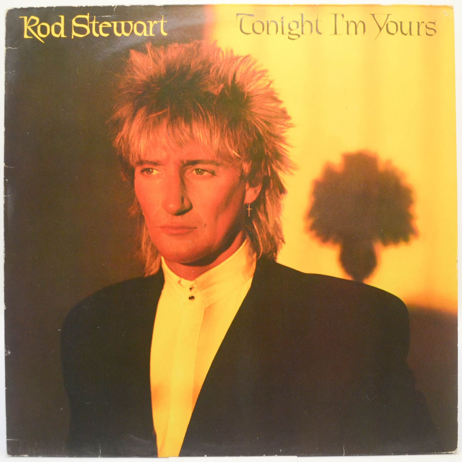 Rod Stewart — Tonight I'm Yours, 1981