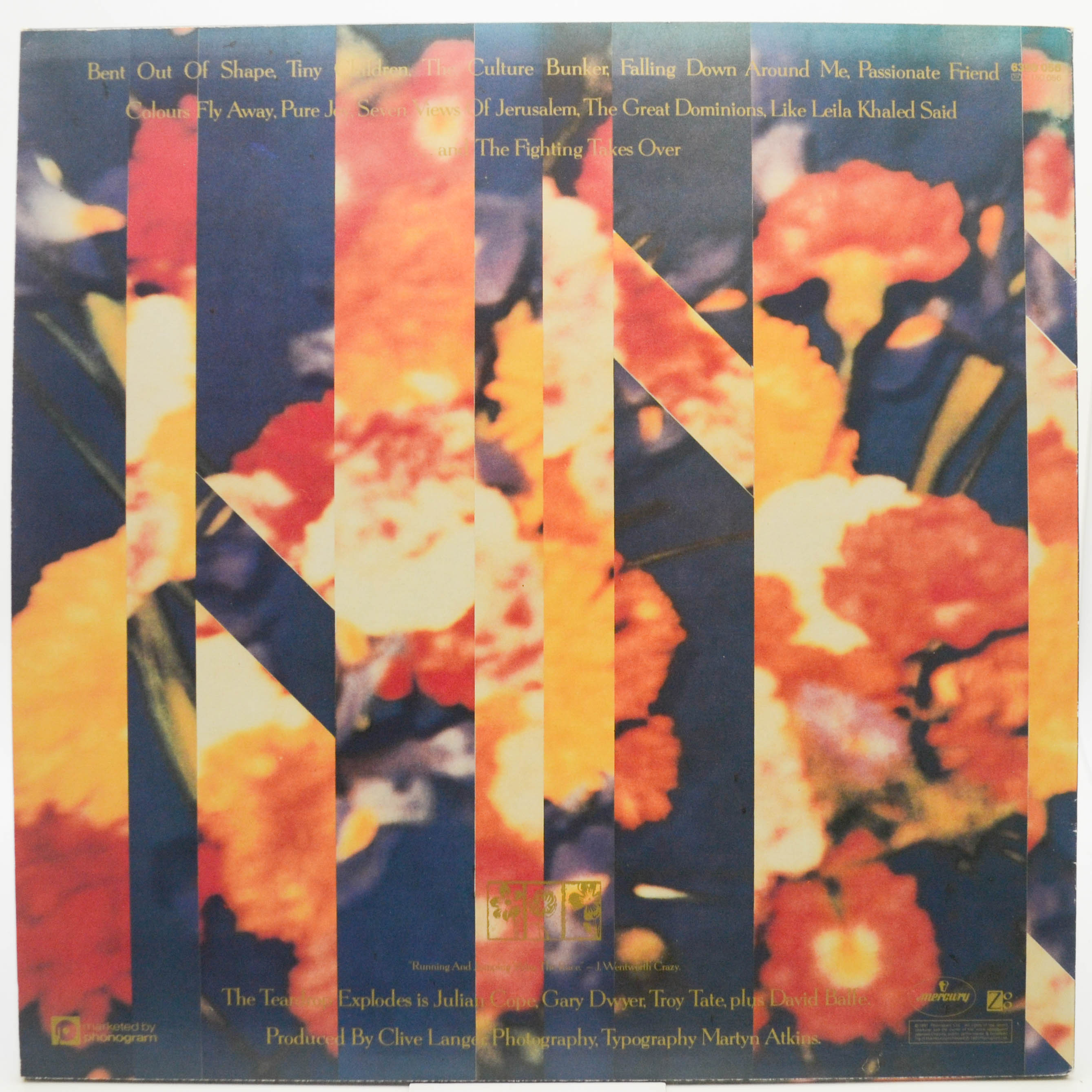 Виниловая пластинка Teardrop Explodes — Wilder (1-st, UK), 1981