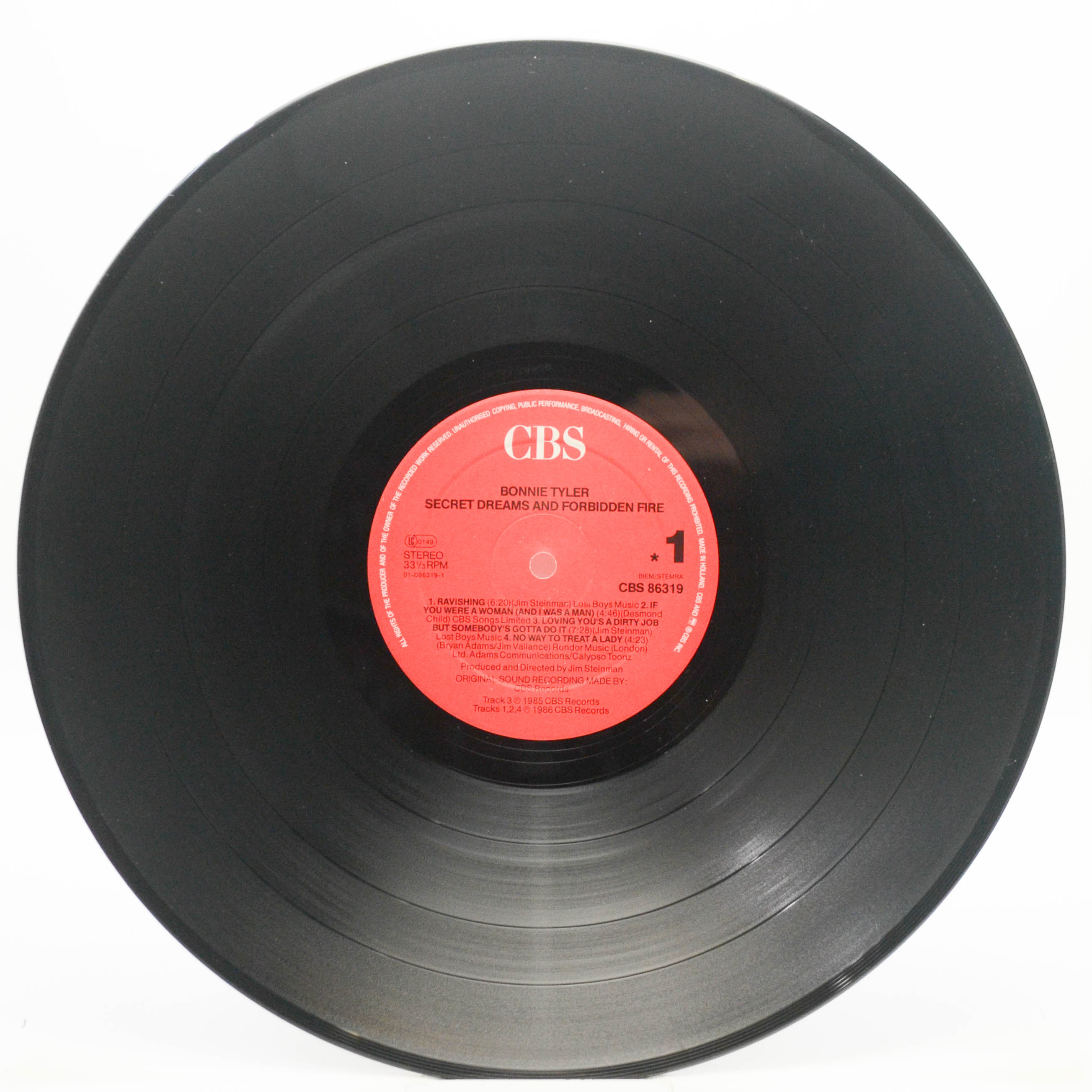 Bonnie Tyler — Secret Dreams And Forbidden Fire, 1986