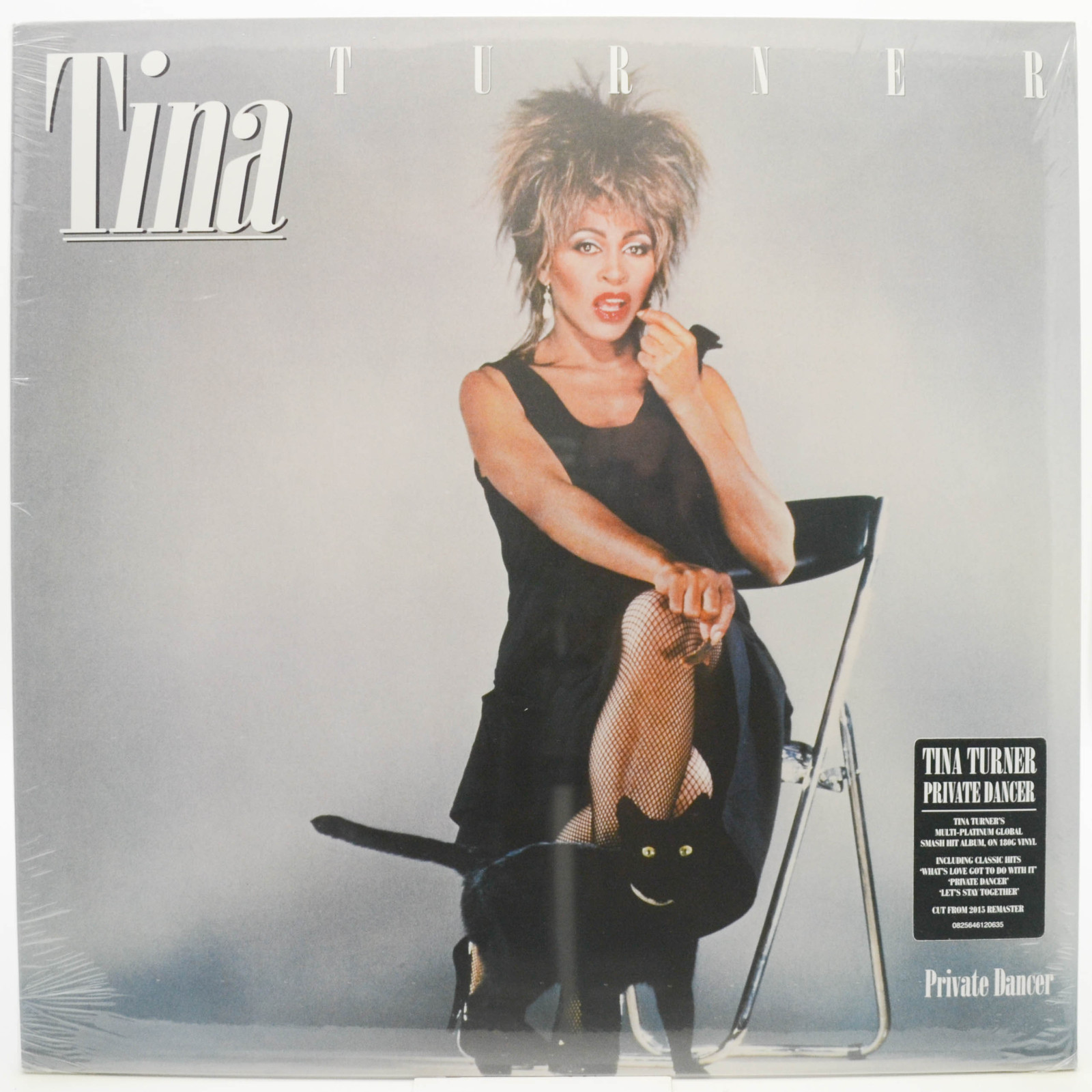 Tina Turner — Private Dancer, 1984