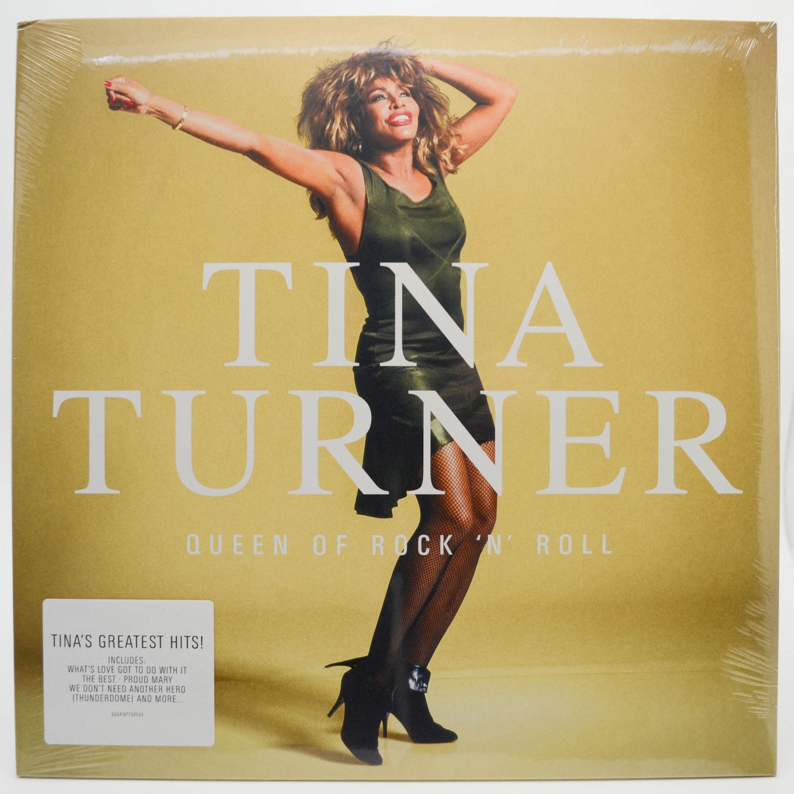 Tina Turner — Queen Of Rock 'N' Roll, 2023