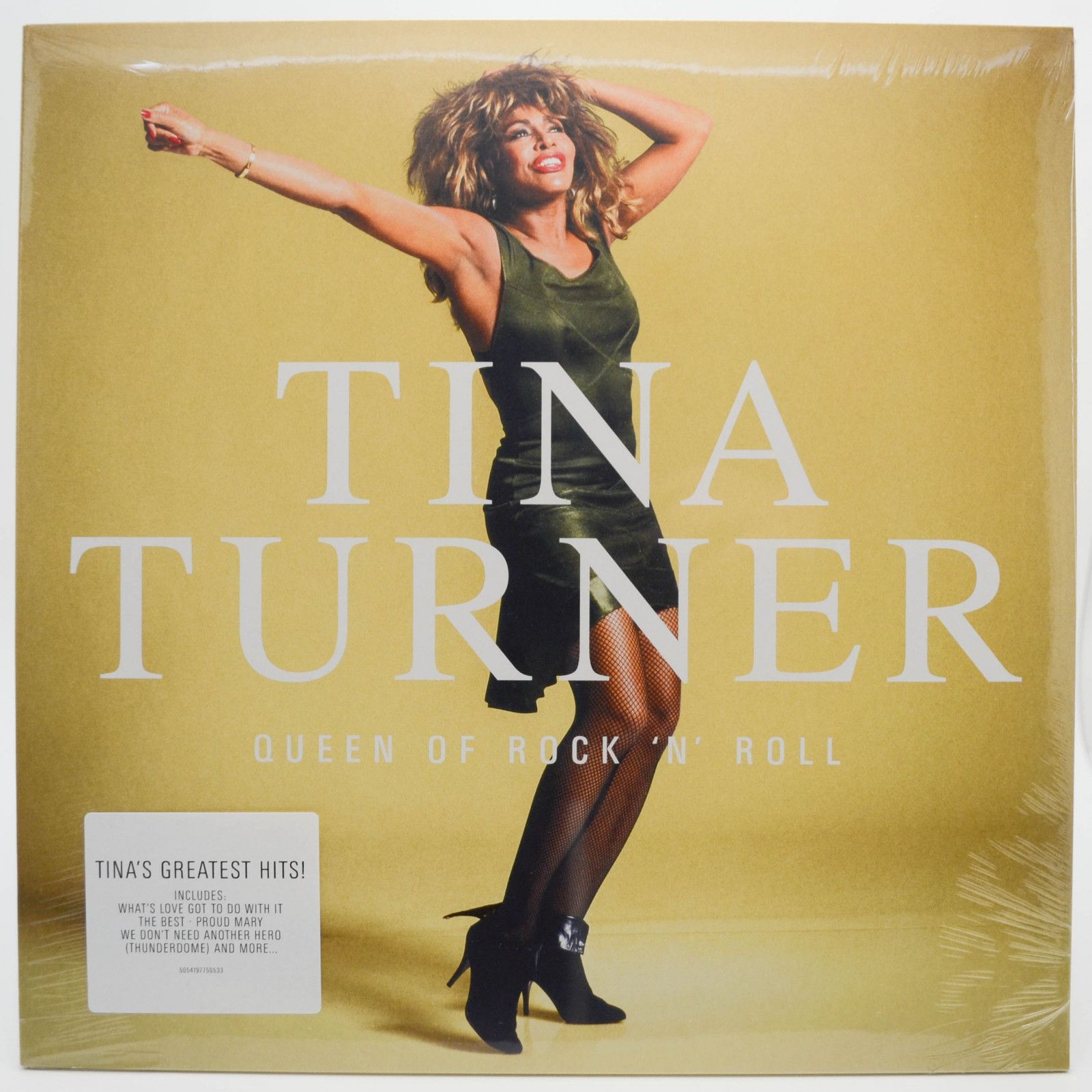 Tina Turner — Queen Of Rock 'N' Roll, 2023