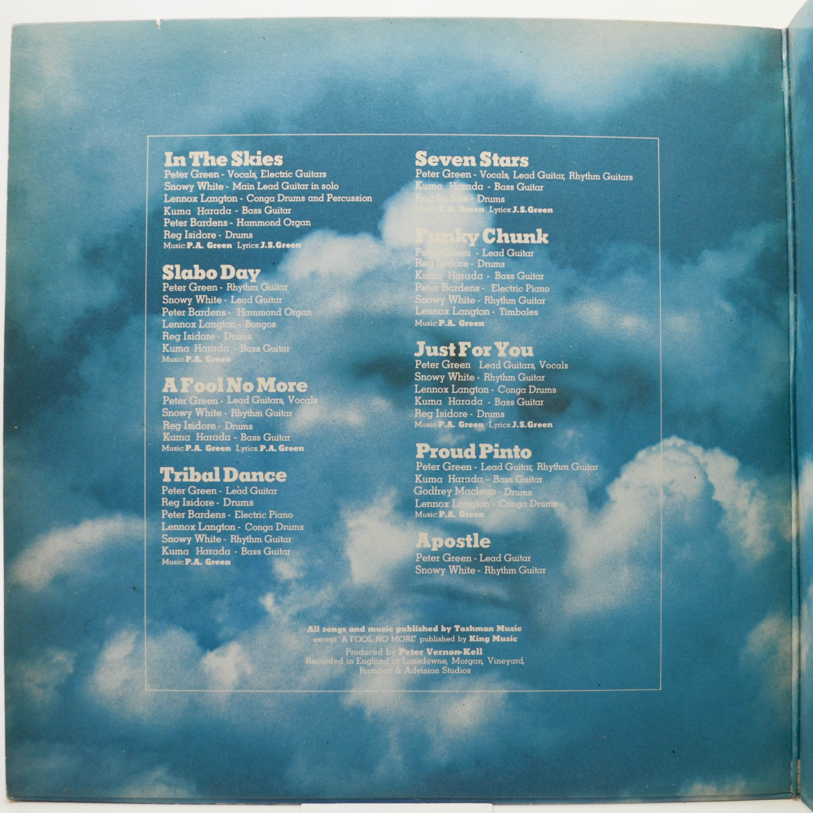 Peter Green — In The Skies, 1979