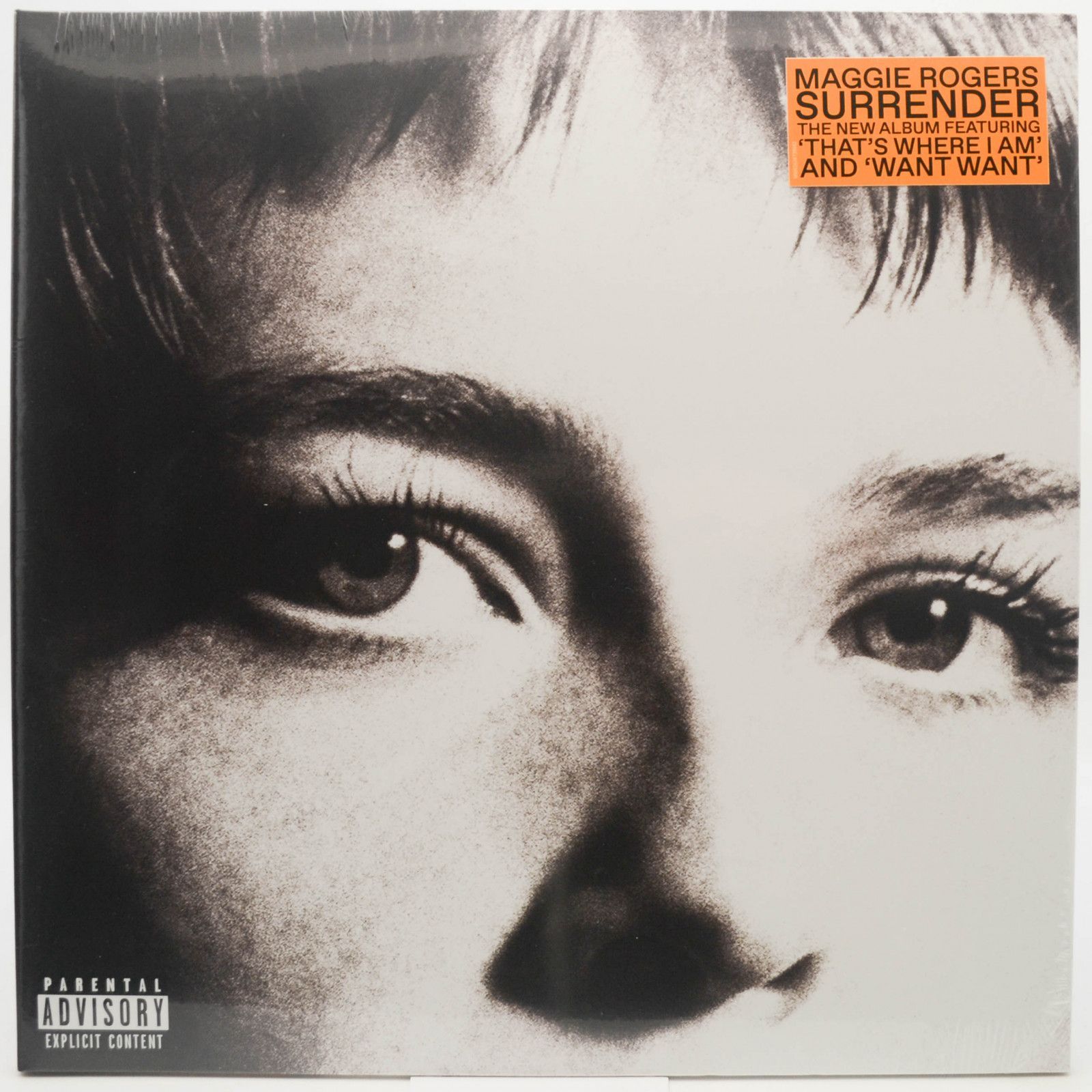 Maggie Rogers — Surrender, 2022