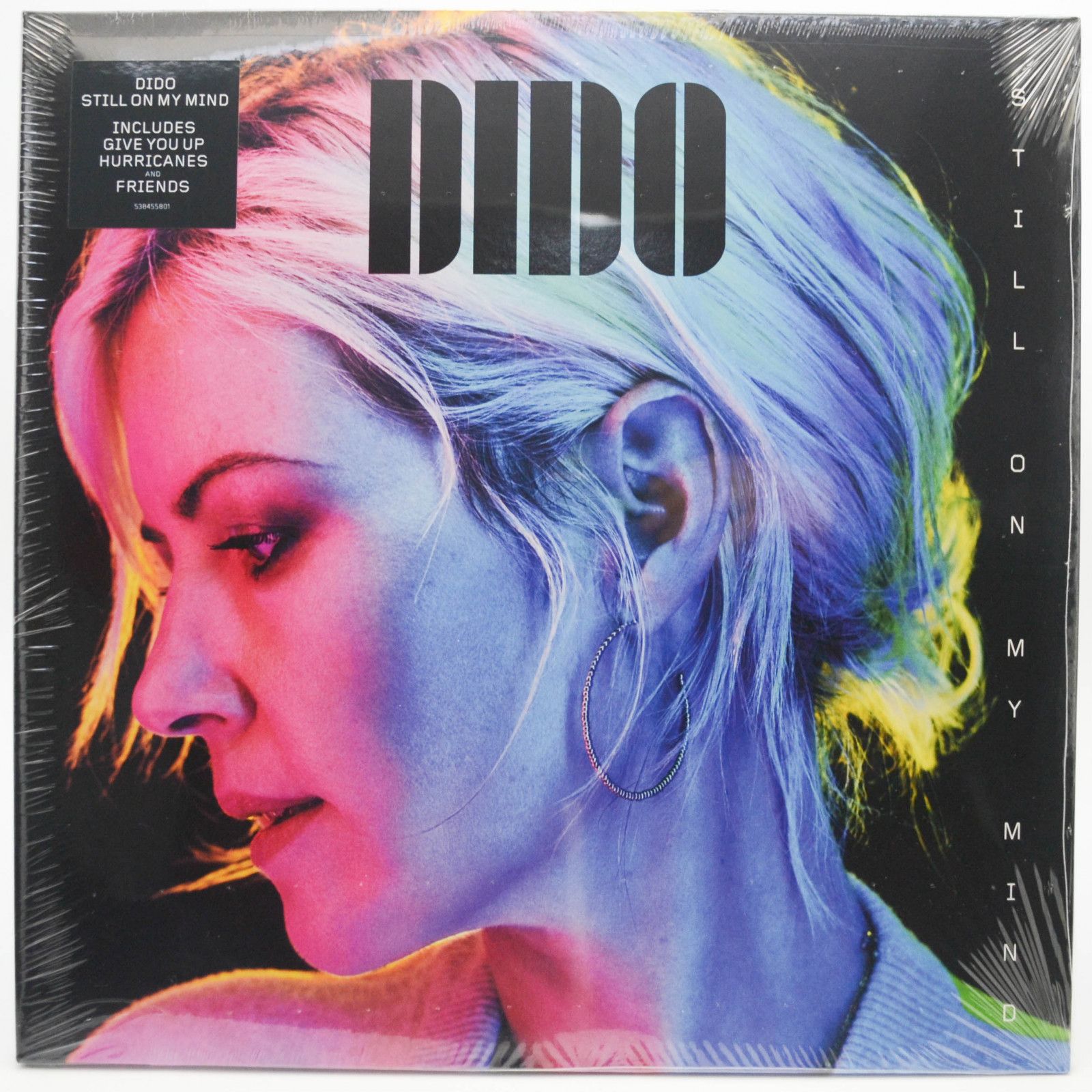 Dido — Still On My Mind, 2019