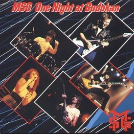 One Night At Budokan