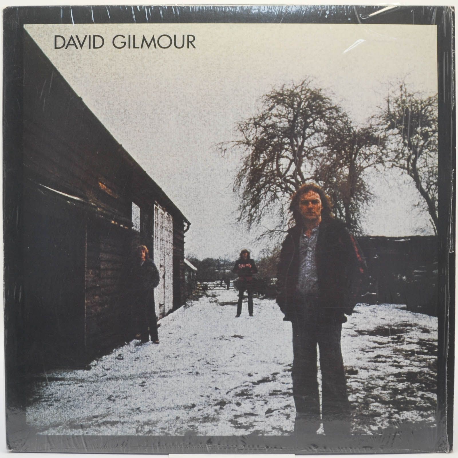 David Gilmour — David Gilmour (USA), 1978