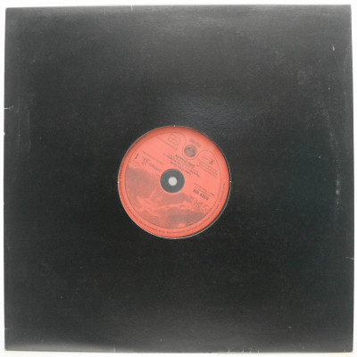 Виниловая пластинка Love Over Gold, 1982