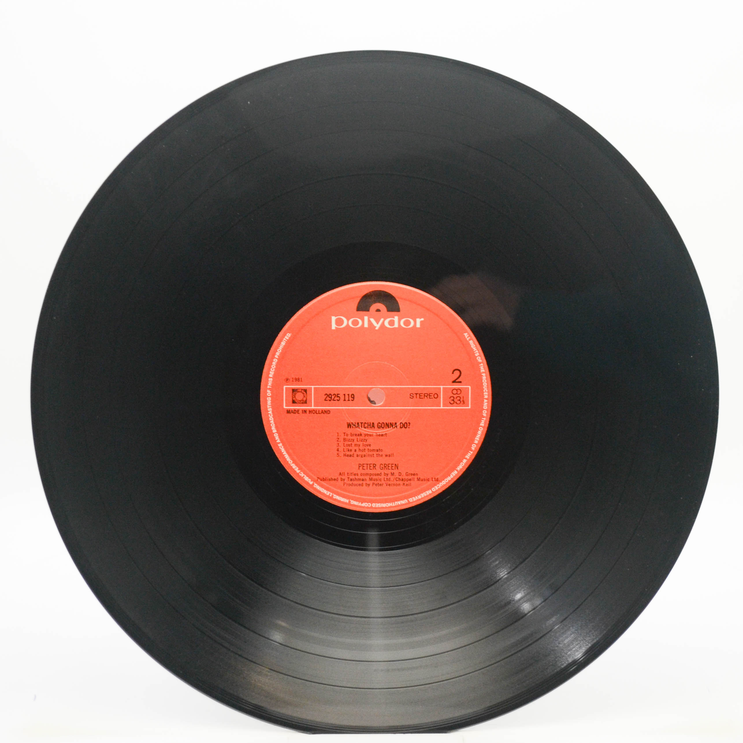 Peter Green — Whatcha Gonna Do?, 1981