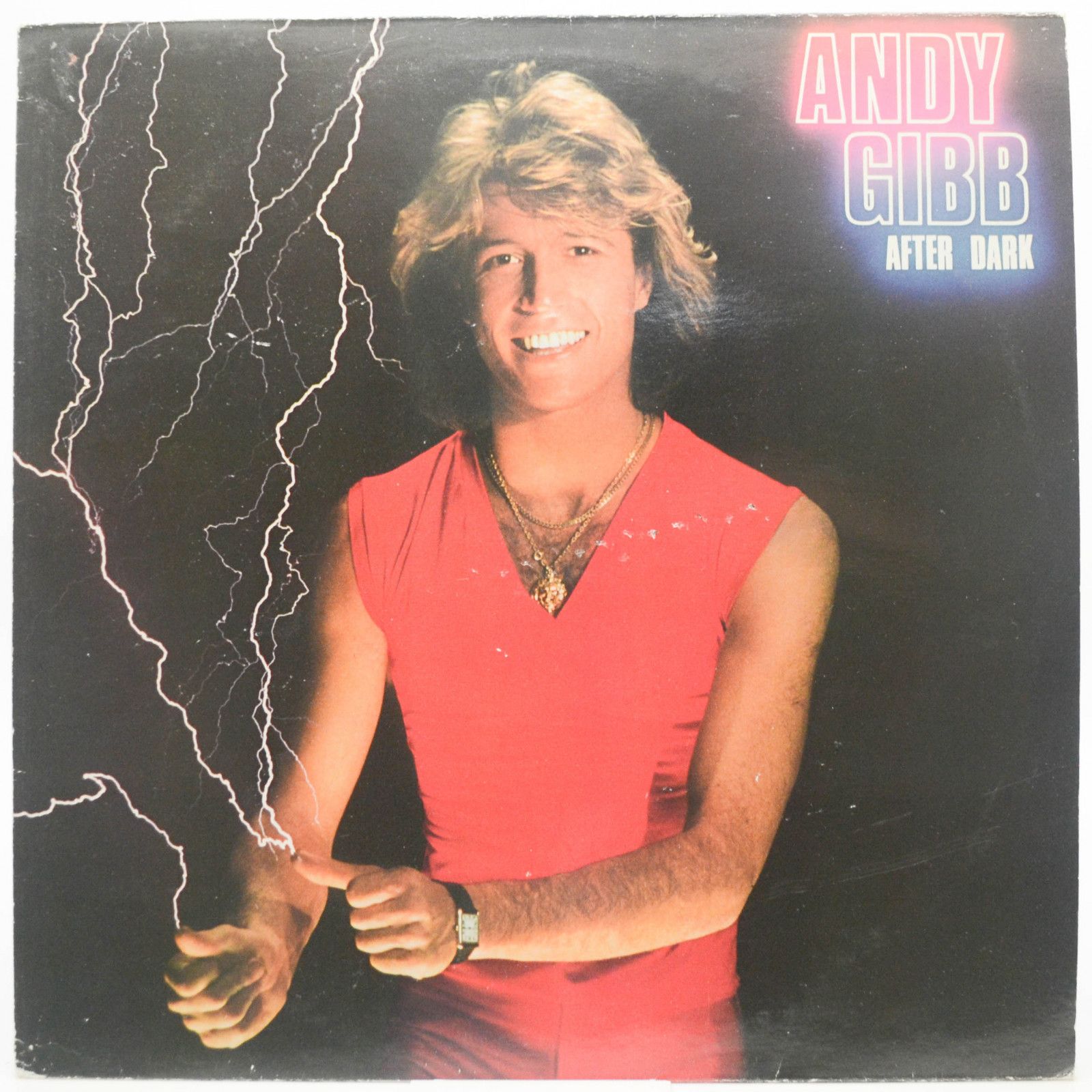 Andy Gibb — After Dark, 1980