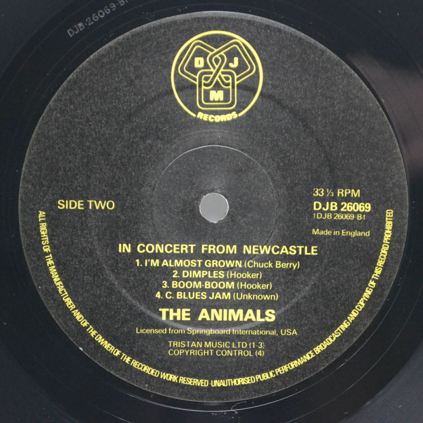 Animals — In Concert From Newcastle (UK), 1976