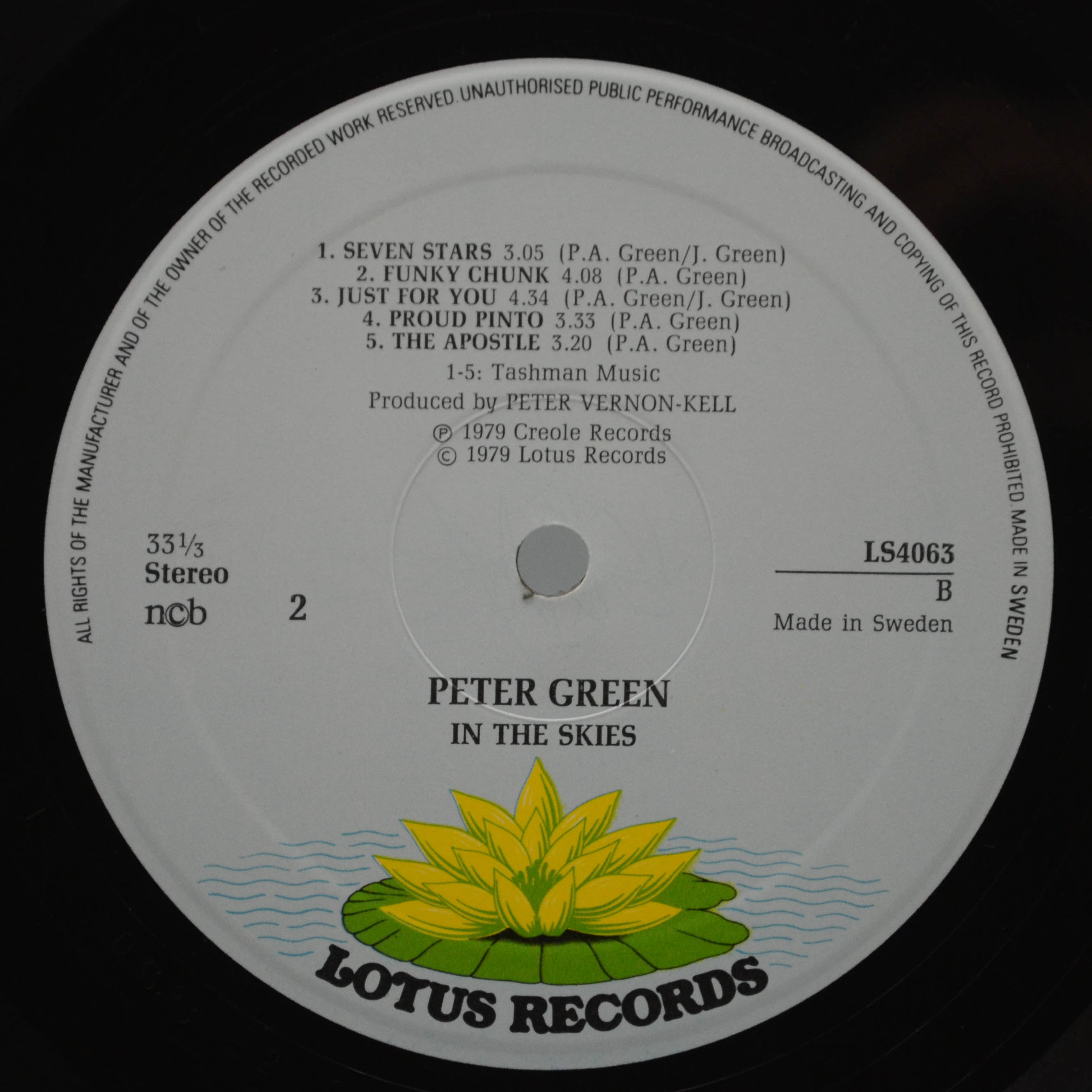 Peter Green — In The Skies, 1979
