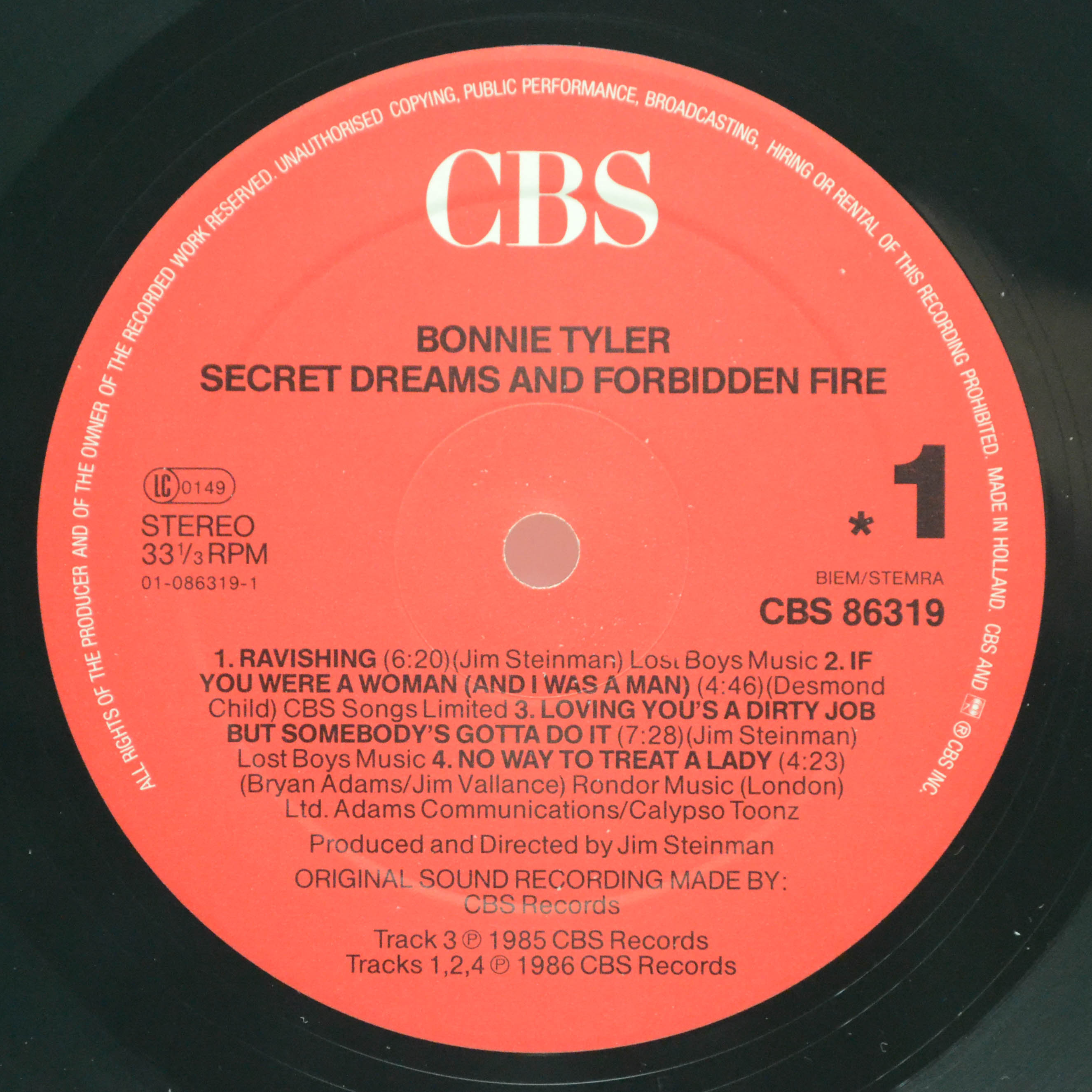 Bonnie Tyler — Secret Dreams And Forbidden Fire, 1986